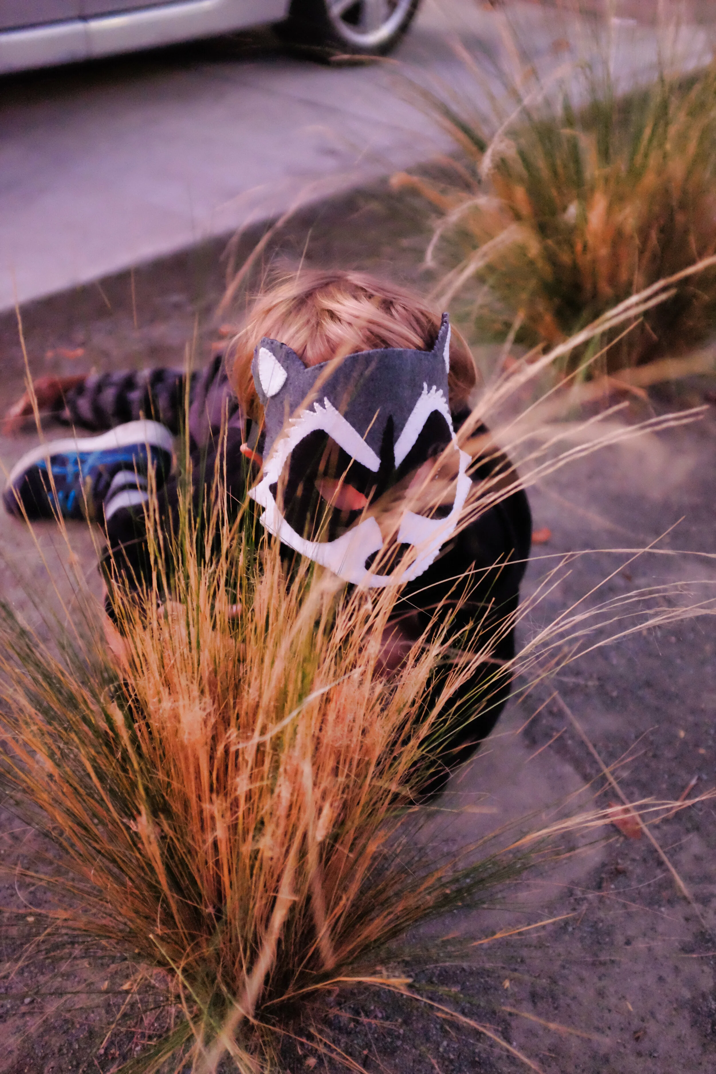 DSCF7338.JPG