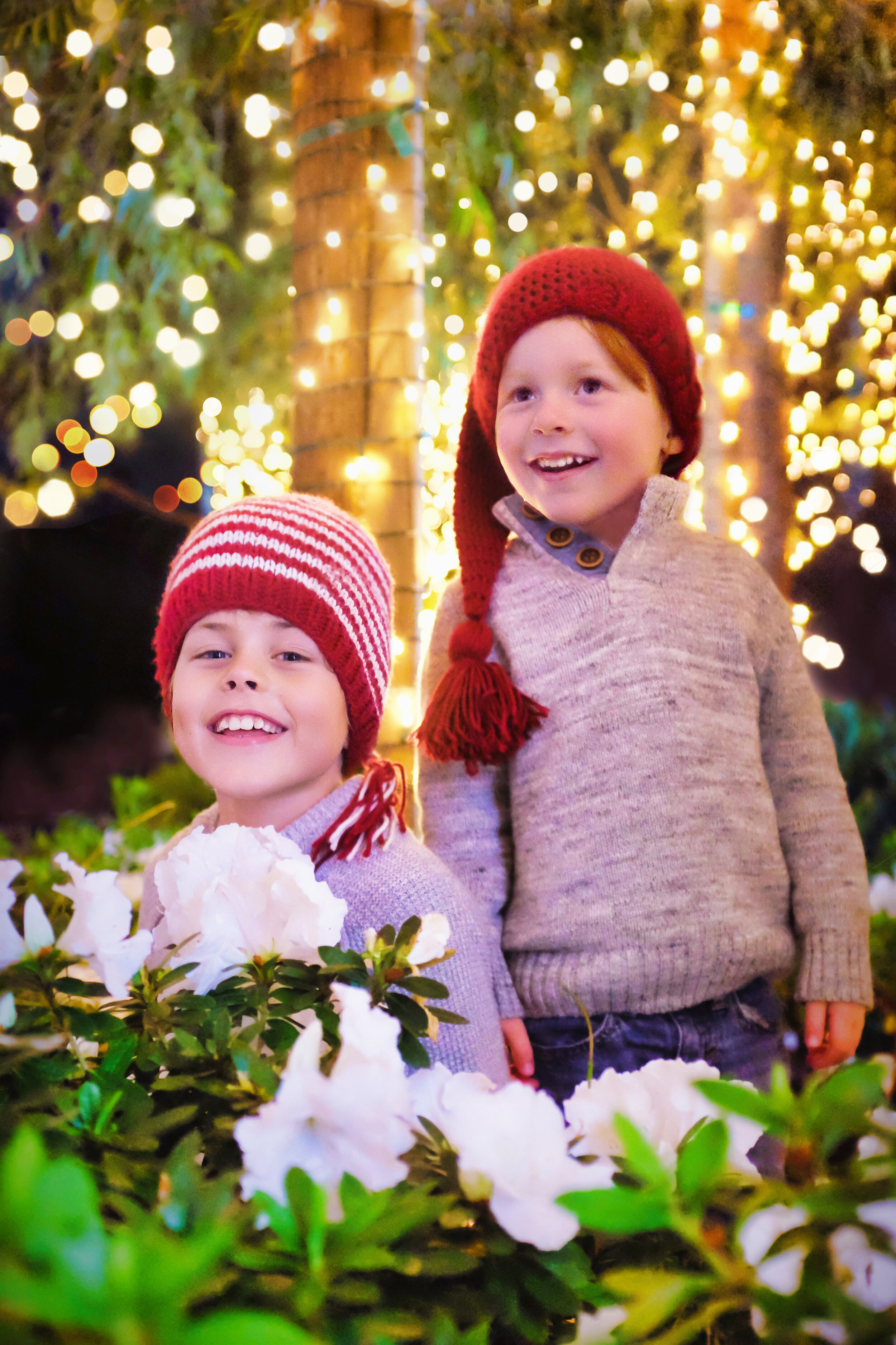 decembre_2019_001.jpg
