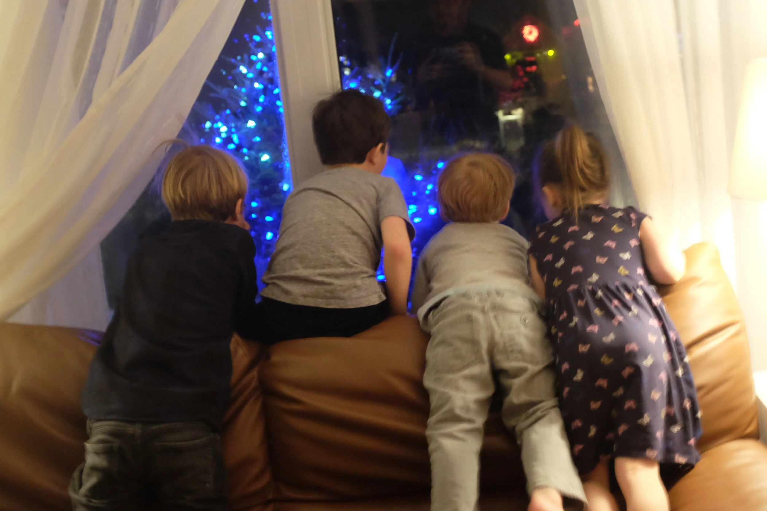 DSCF8780.JPG