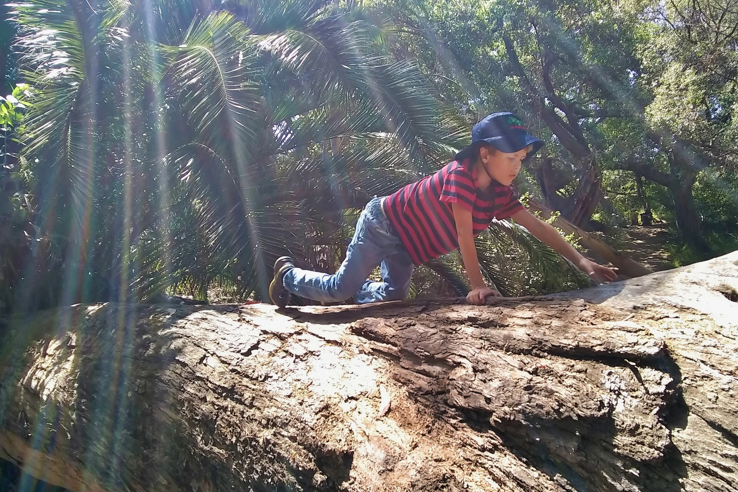 fevrier_2019_108.jpg