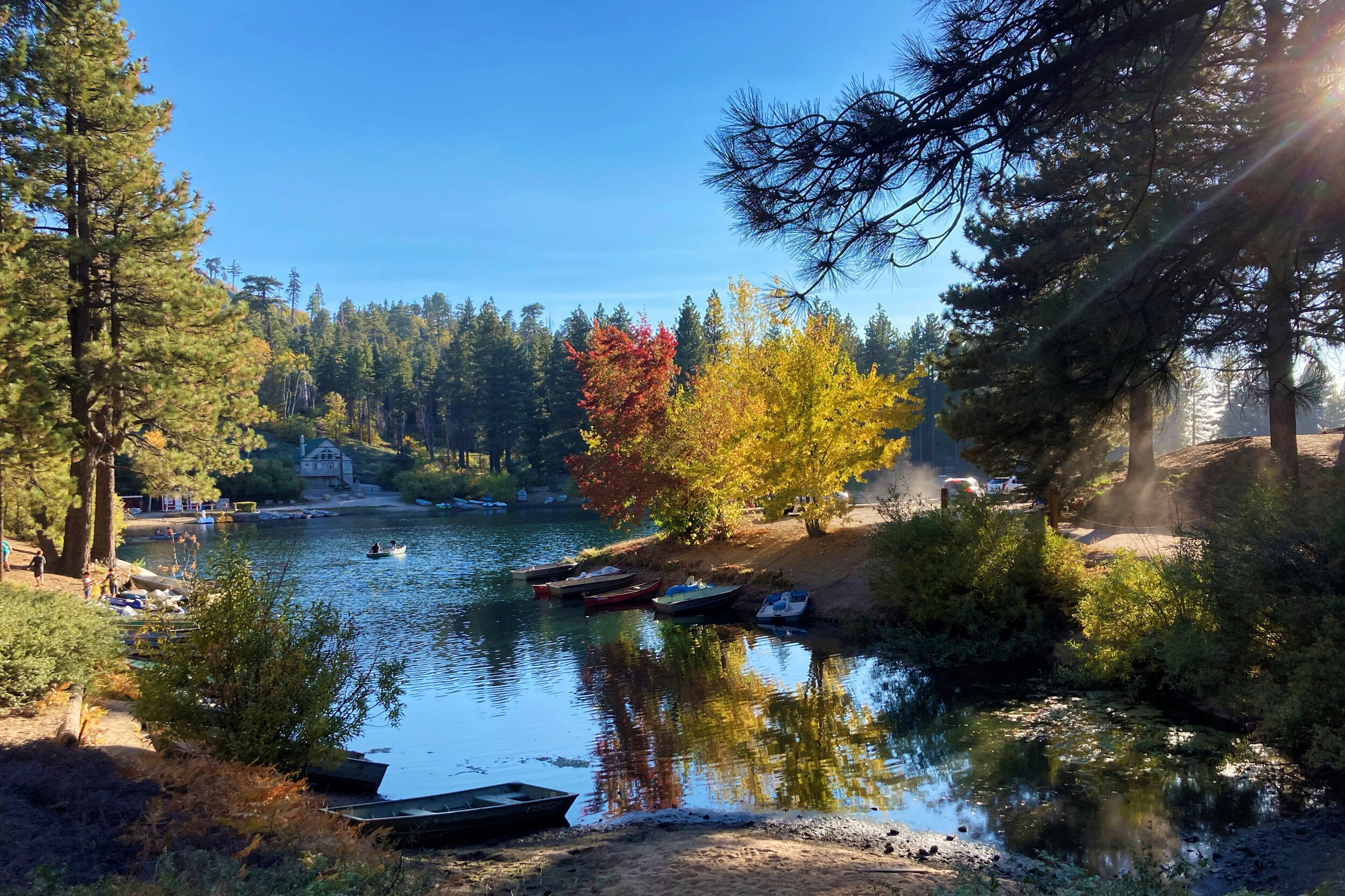 octobre_2020_073.JPG
