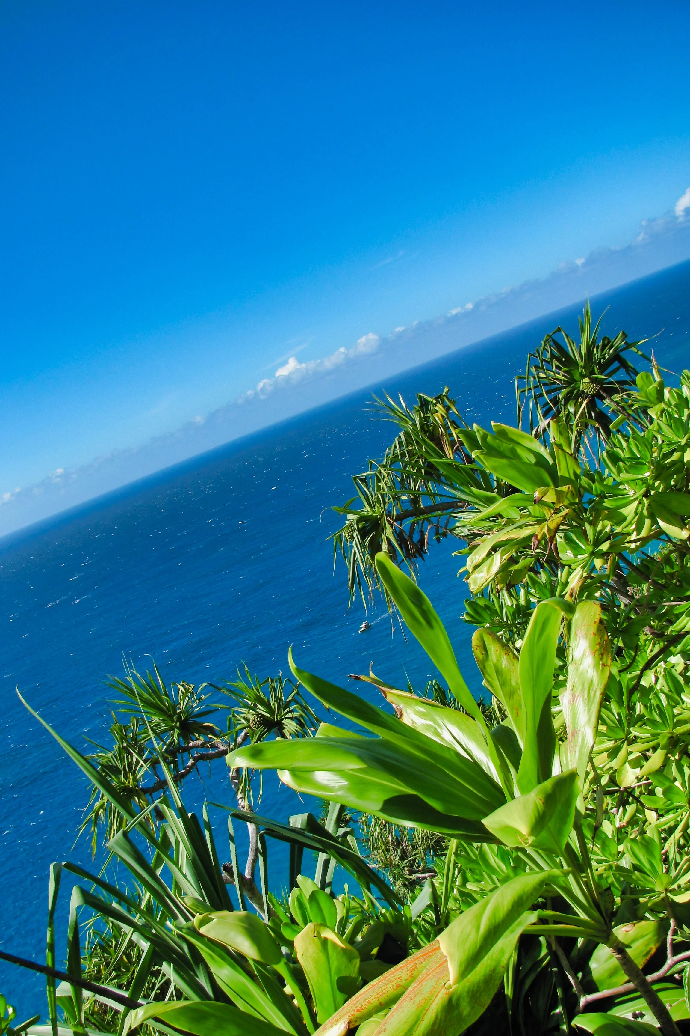 Hawaii_048.jpg