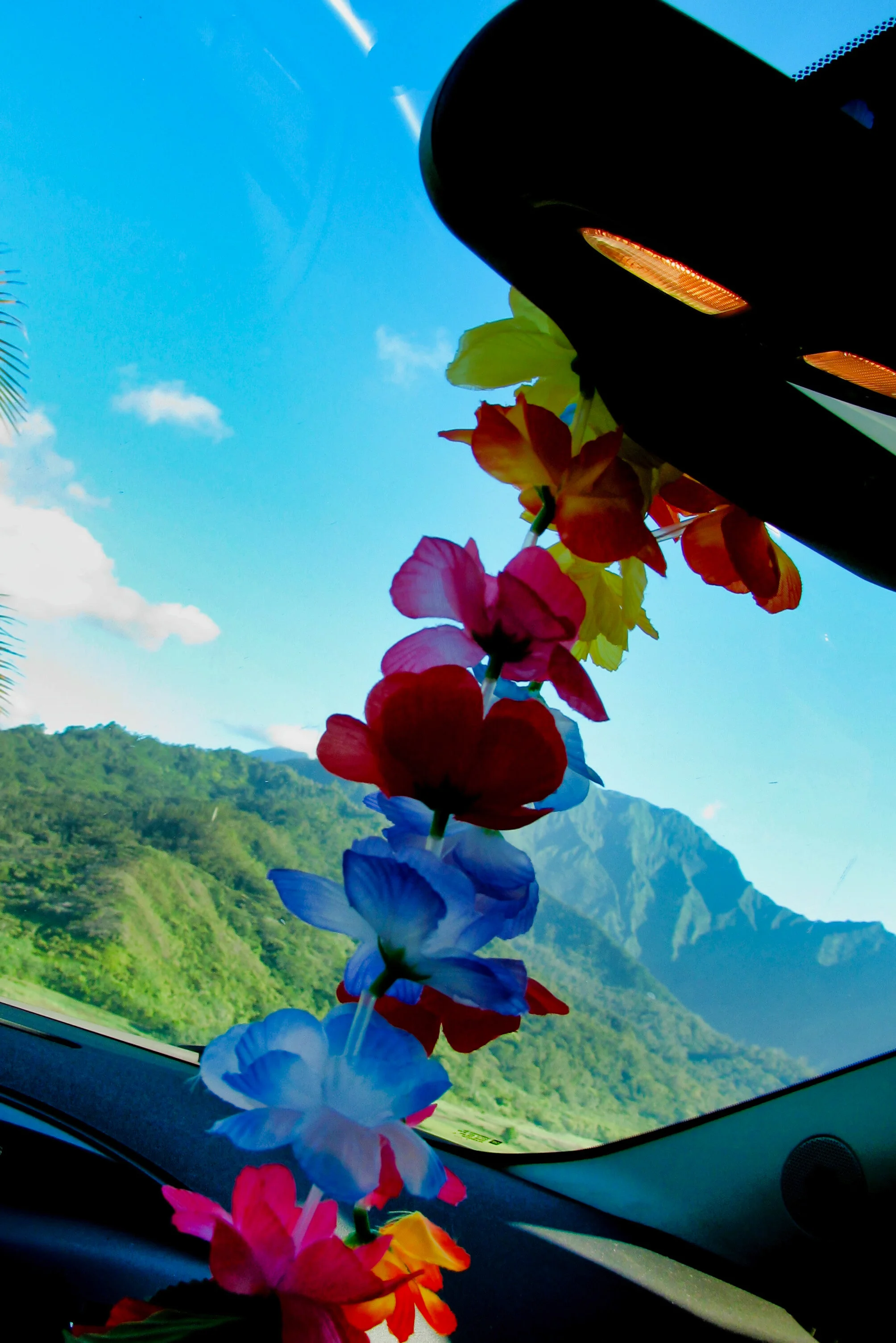 Hawaii_054.jpg
