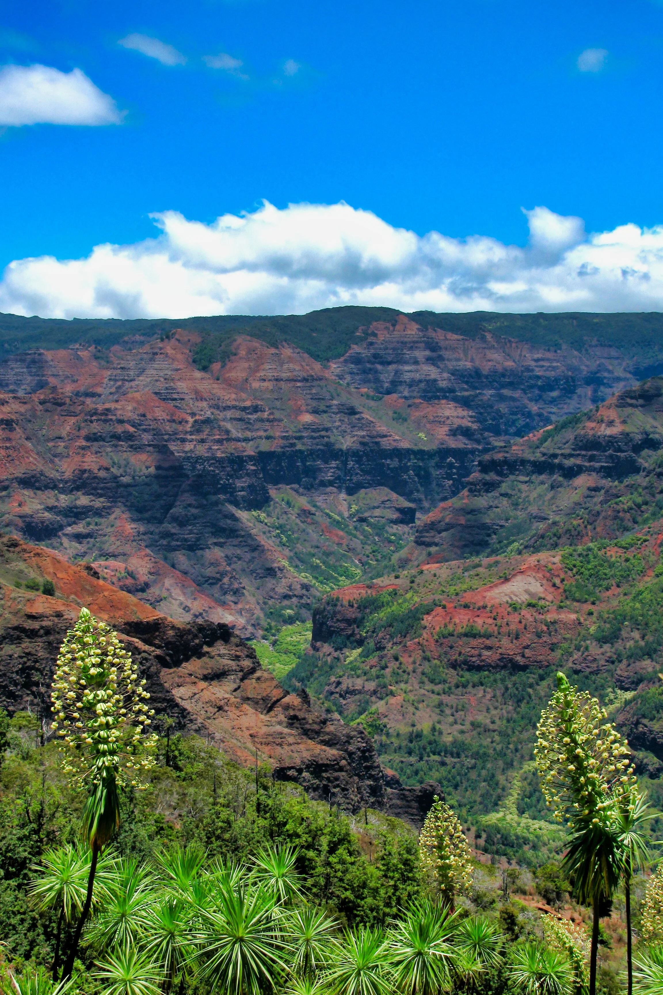 Hawaii_058.jpg