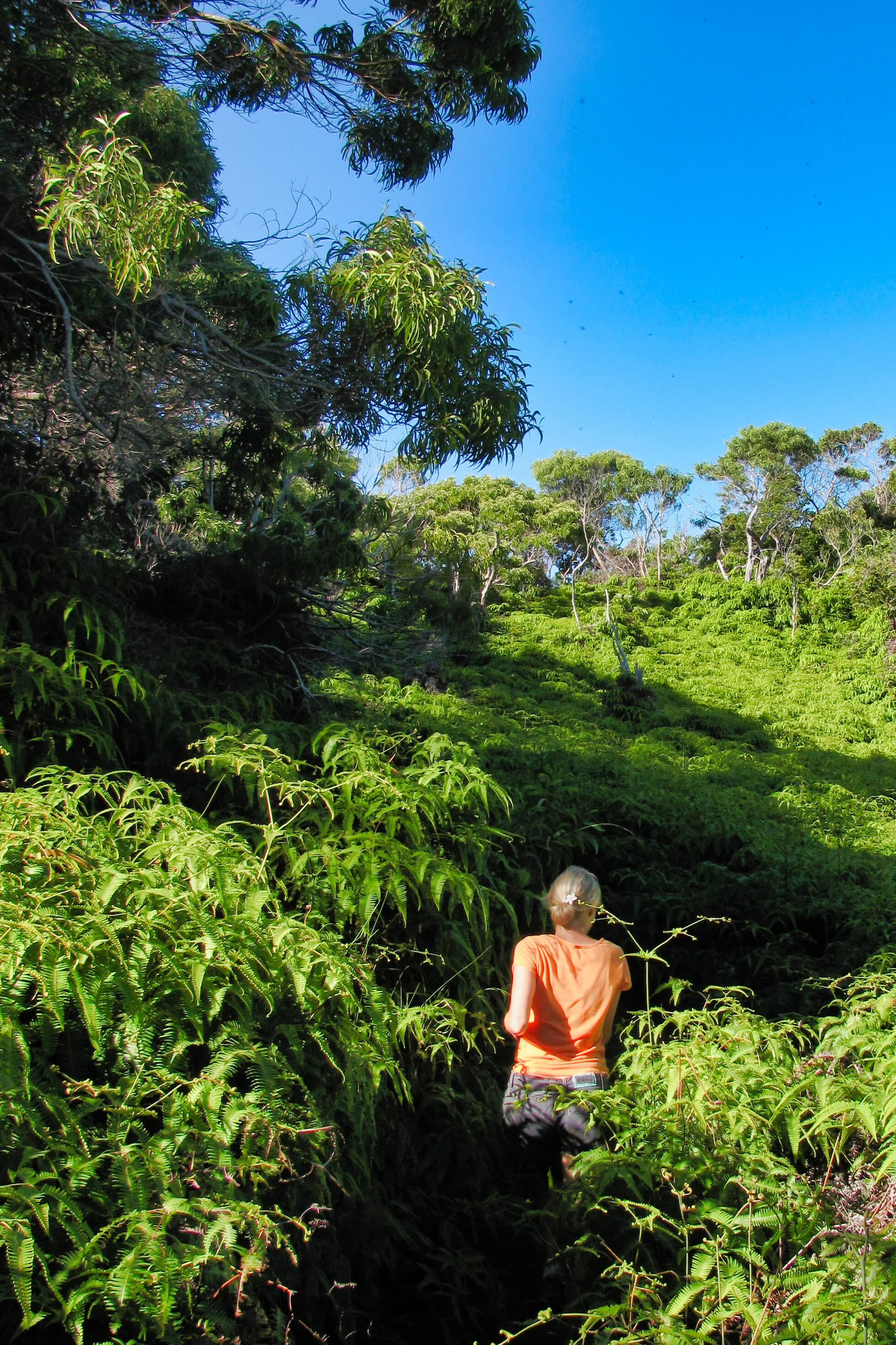 Hawaii_069.jpg