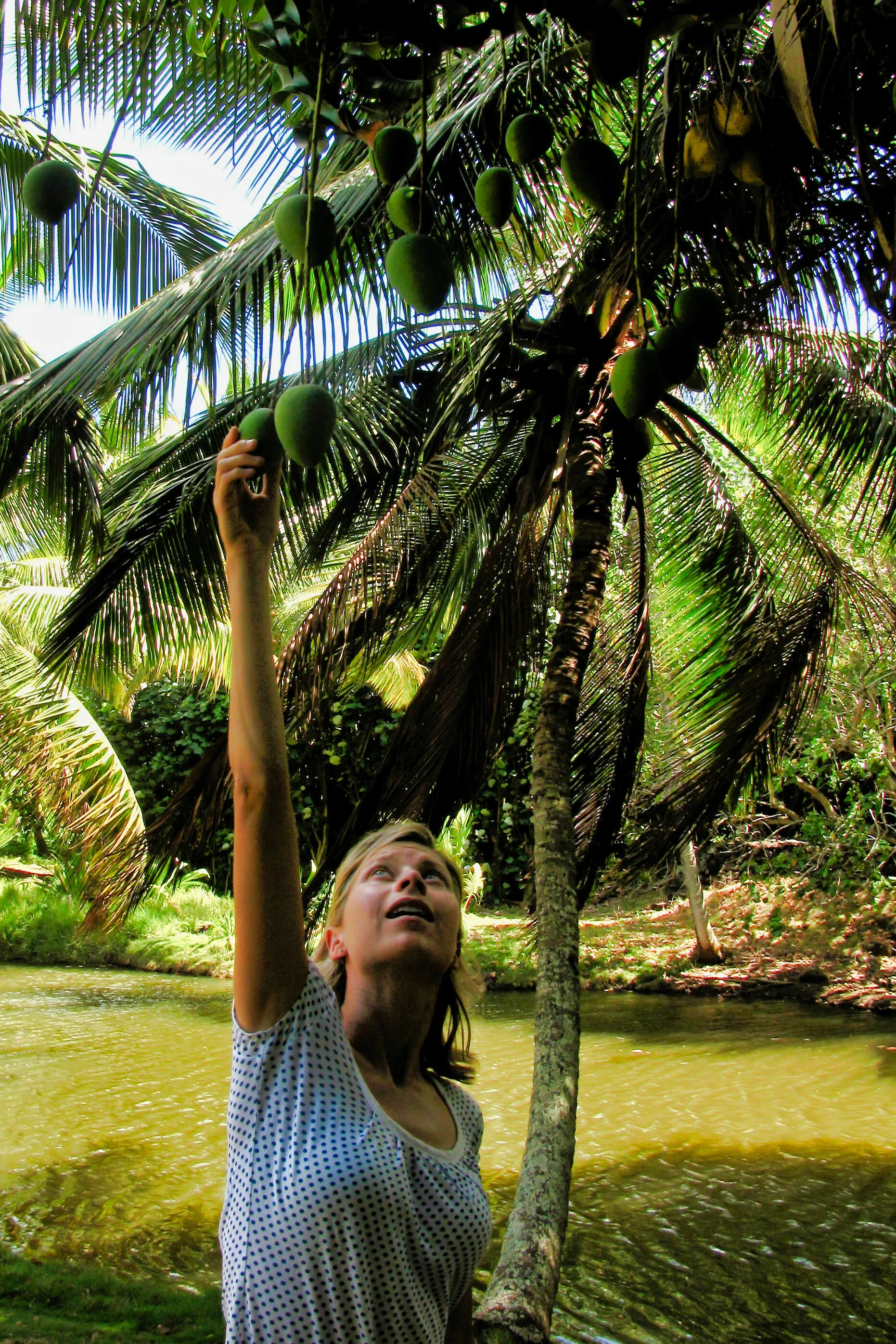 Hawaii_079.jpg