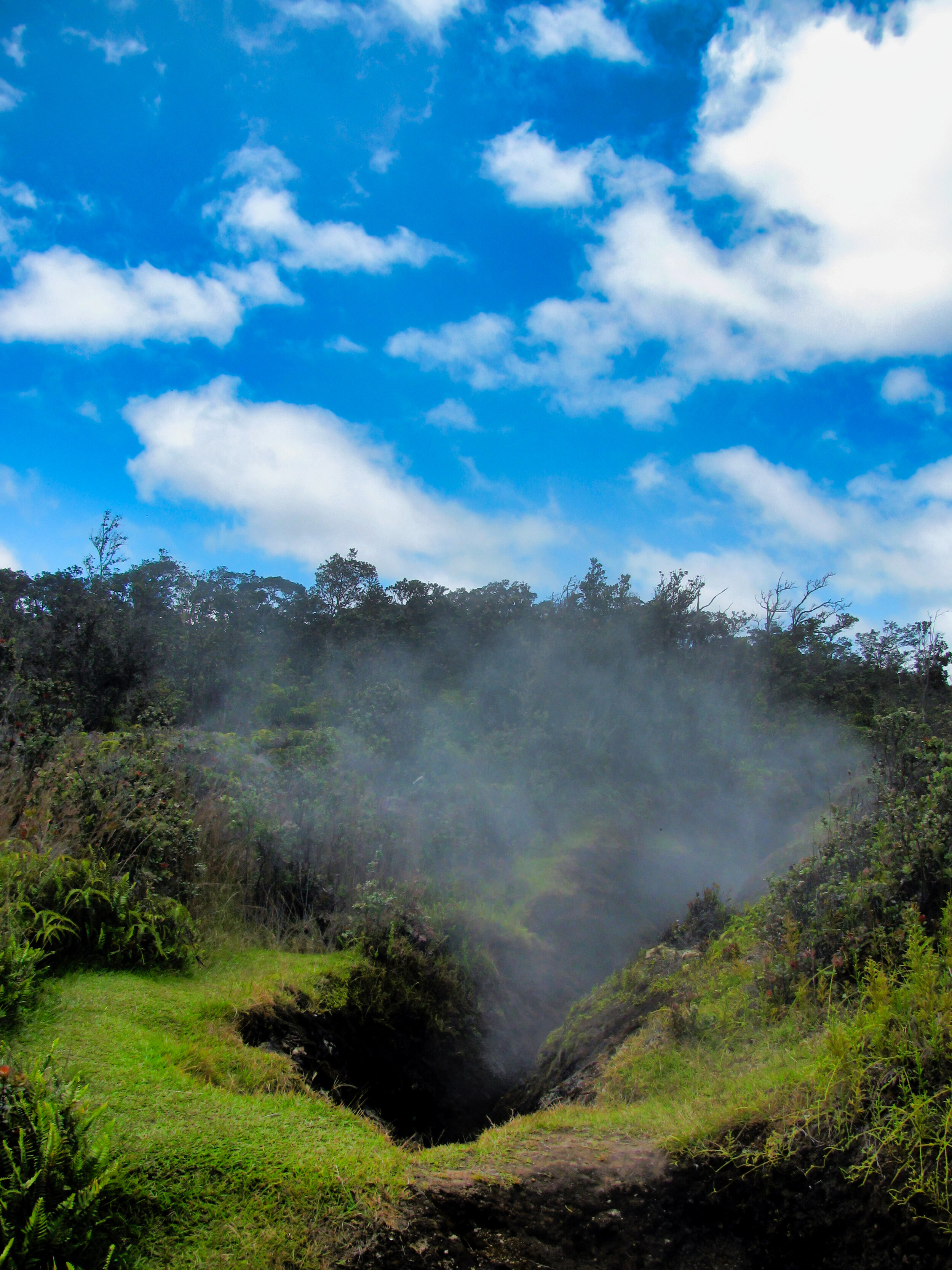 Hawaii_100.jpg
