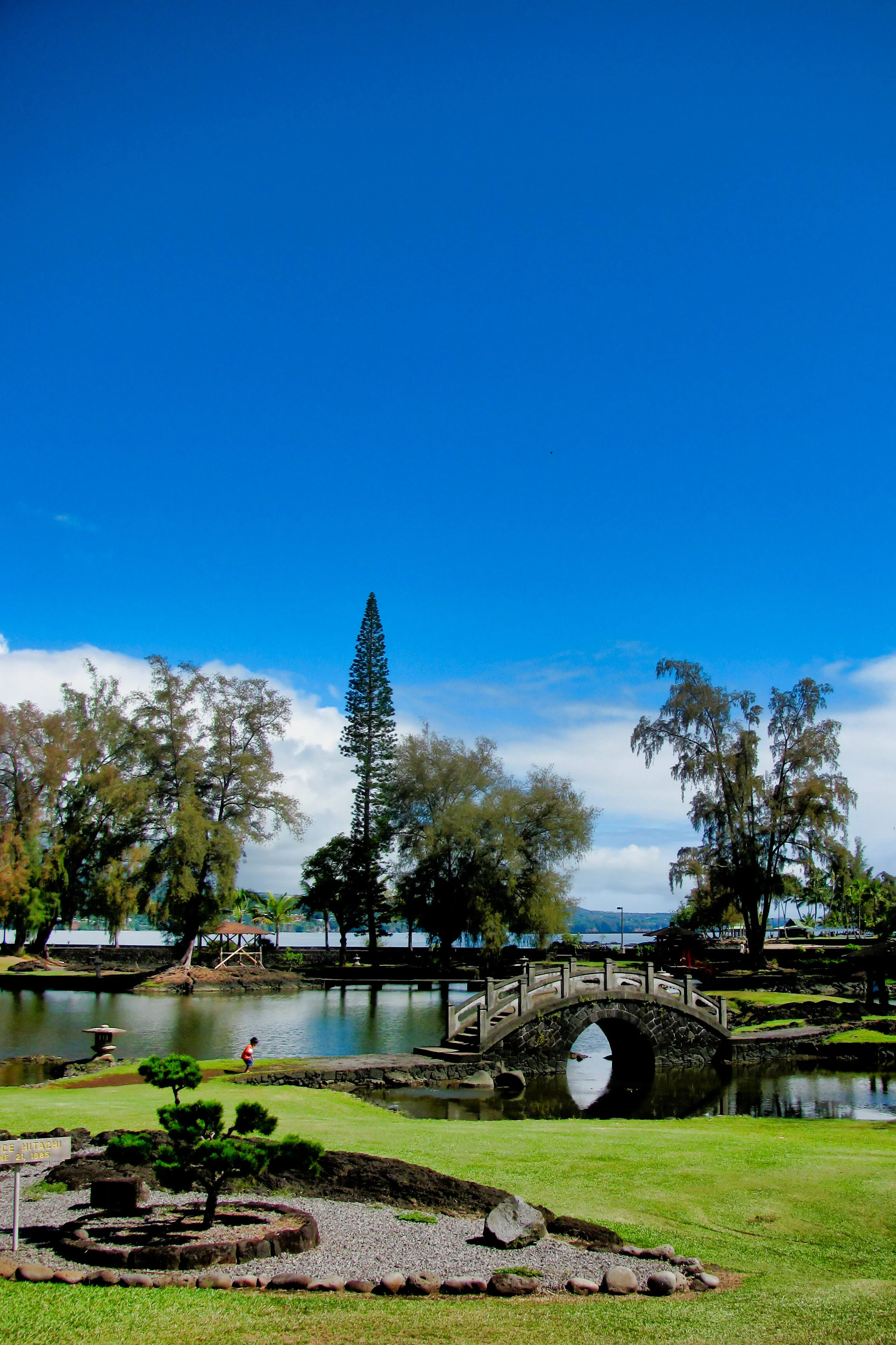 Hawaii_110.jpg