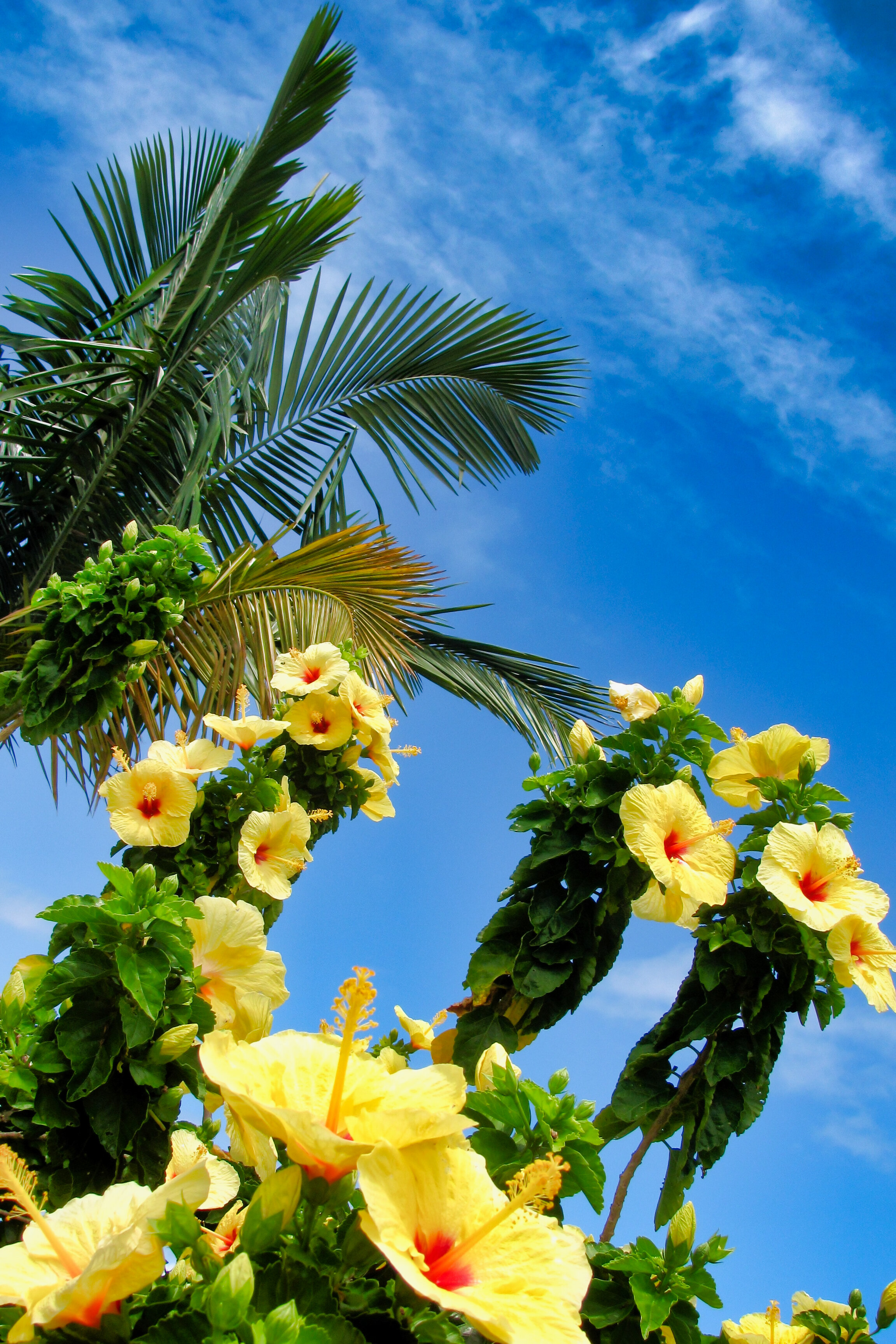 Hawaii_116.jpg
