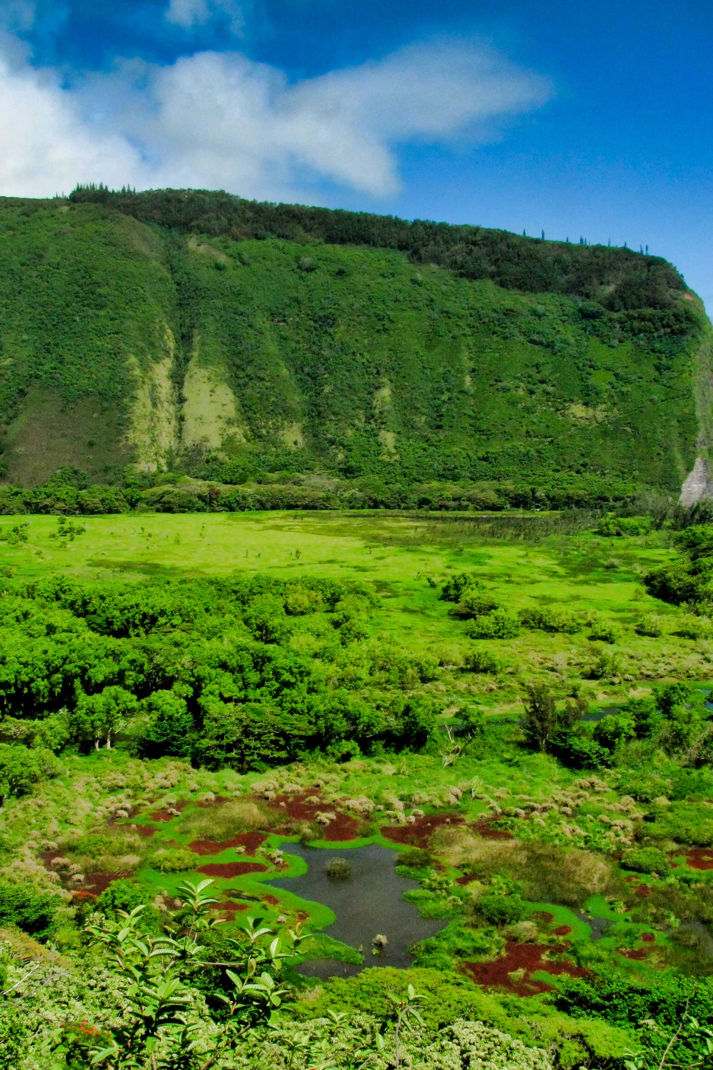 Hawaii_134.jpg