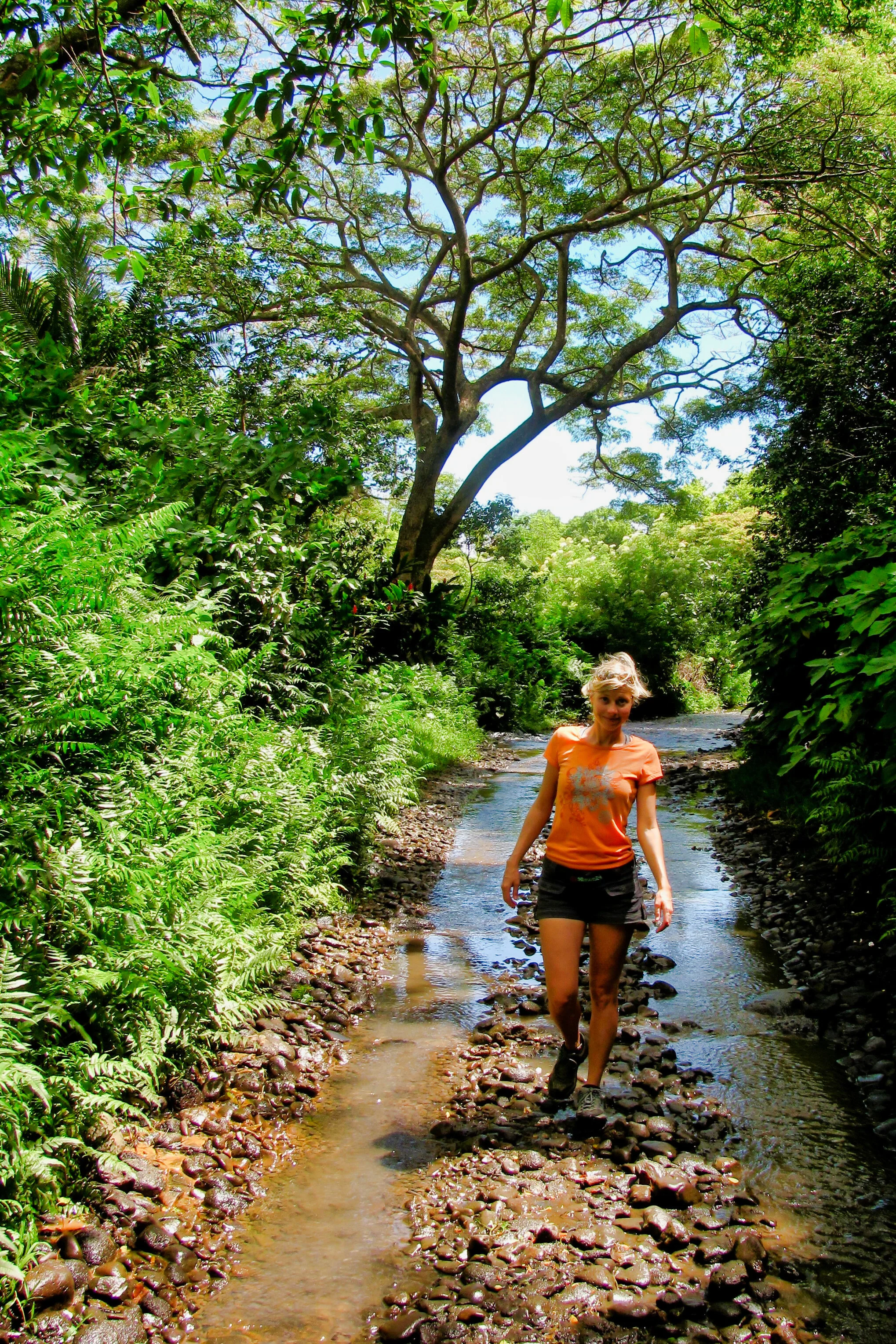 Hawaii_135.jpg