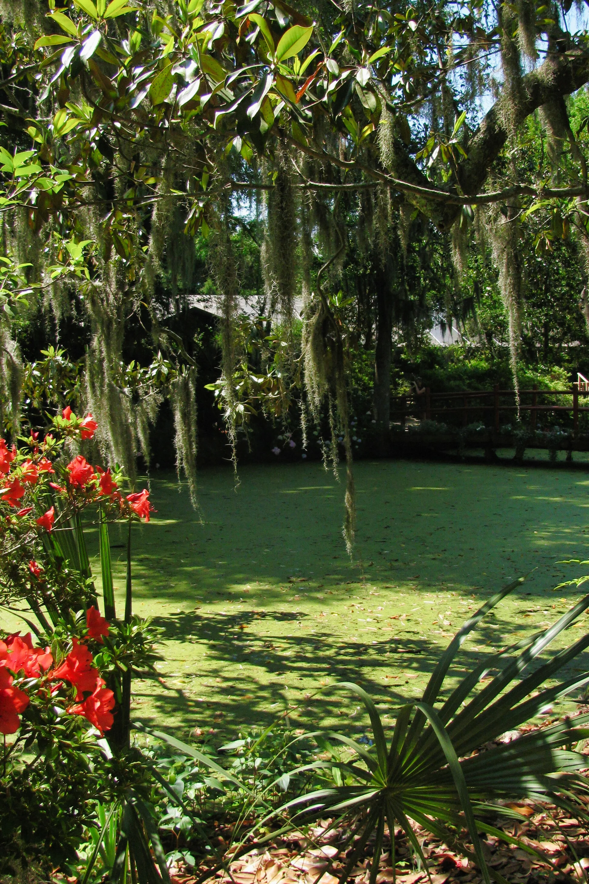 Charleston_001.jpg