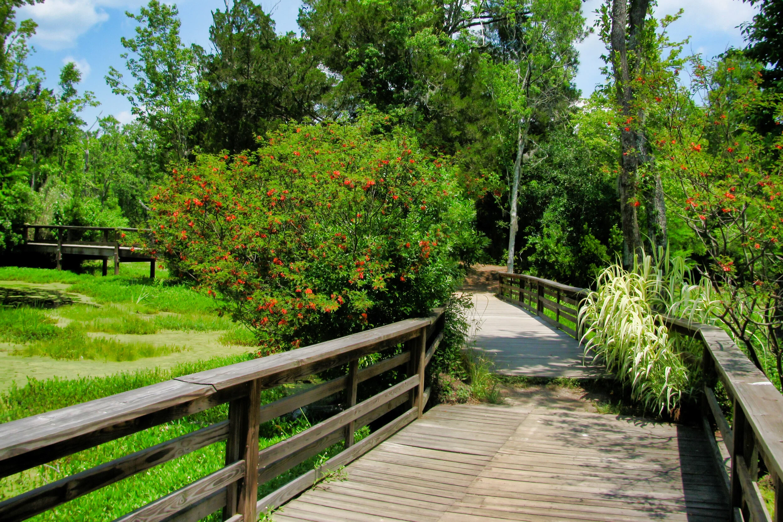 Charleston_013.jpg