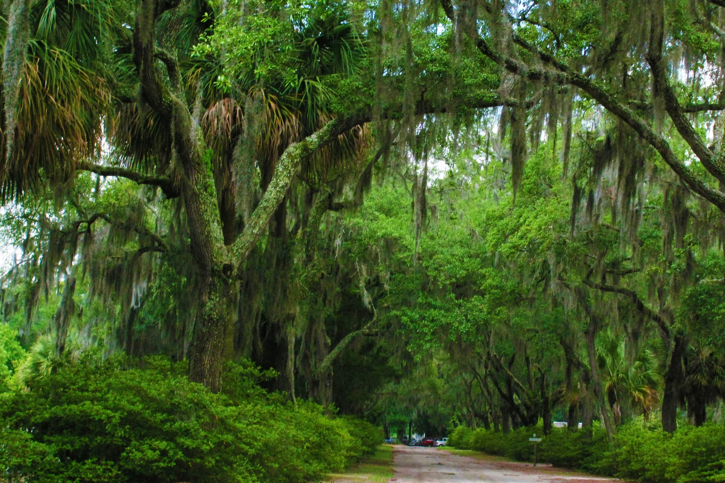Charleston_068.jpg