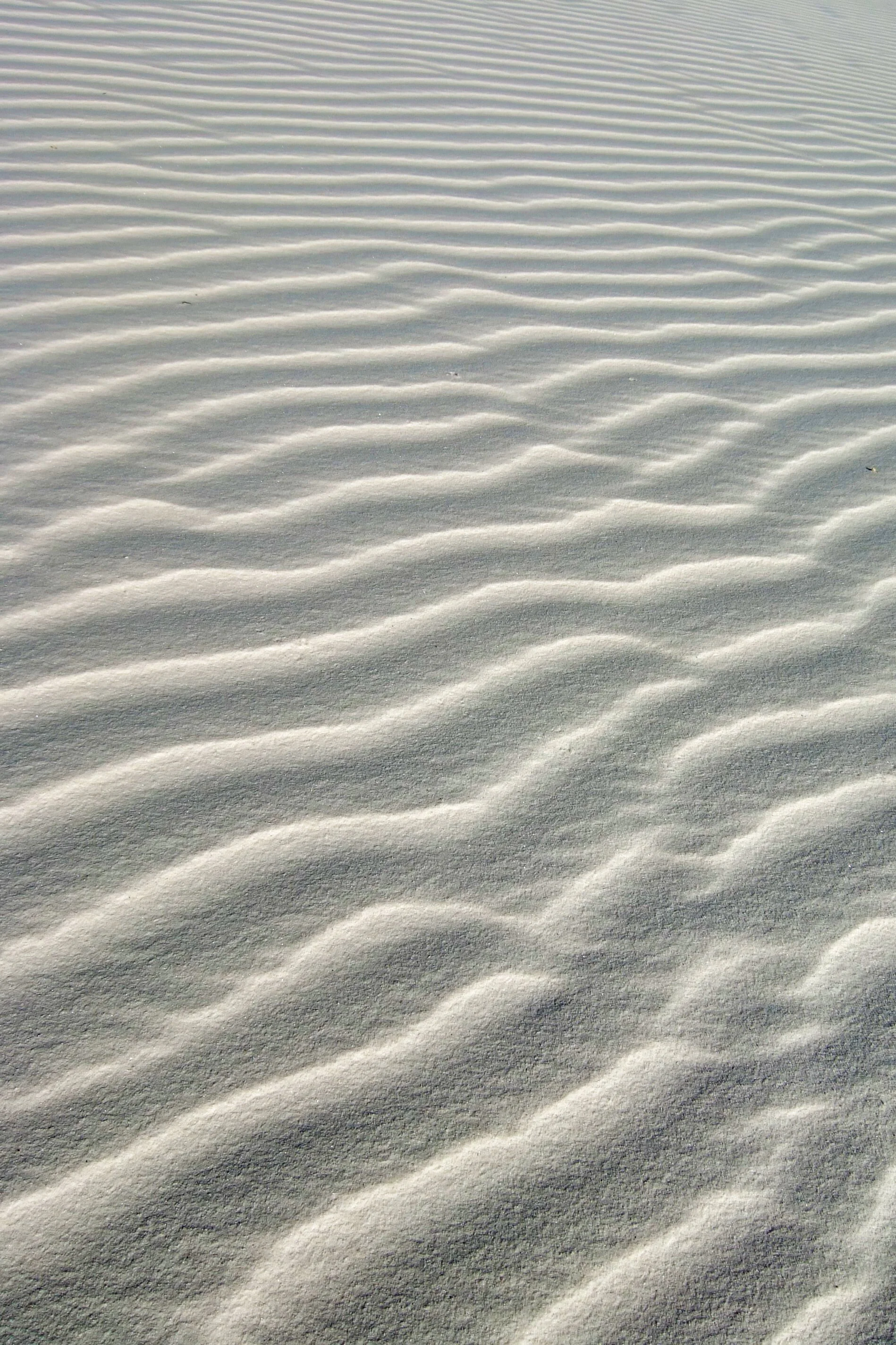 aout_2008_021.jpg
