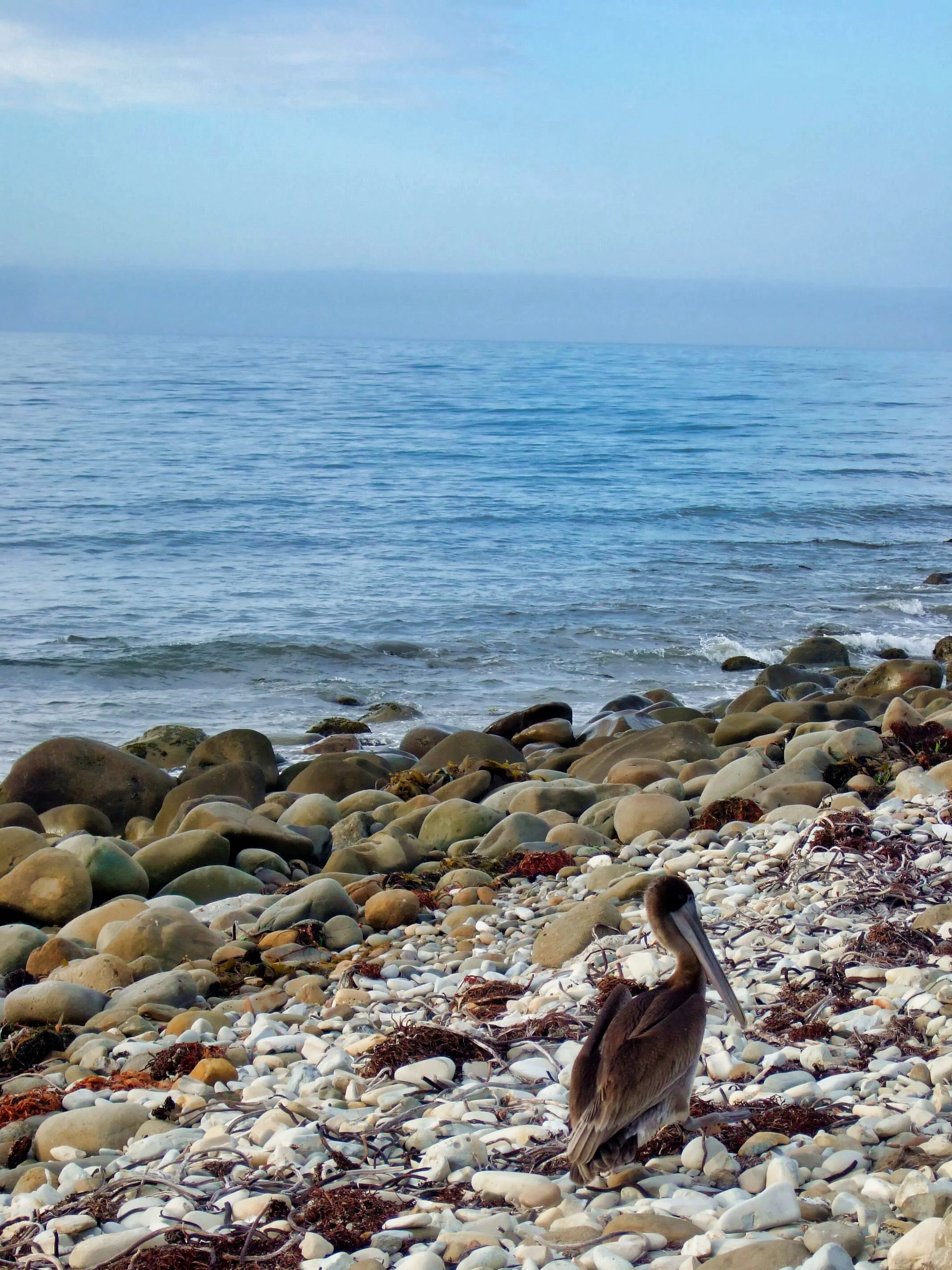 aout_2013_013.jpg
