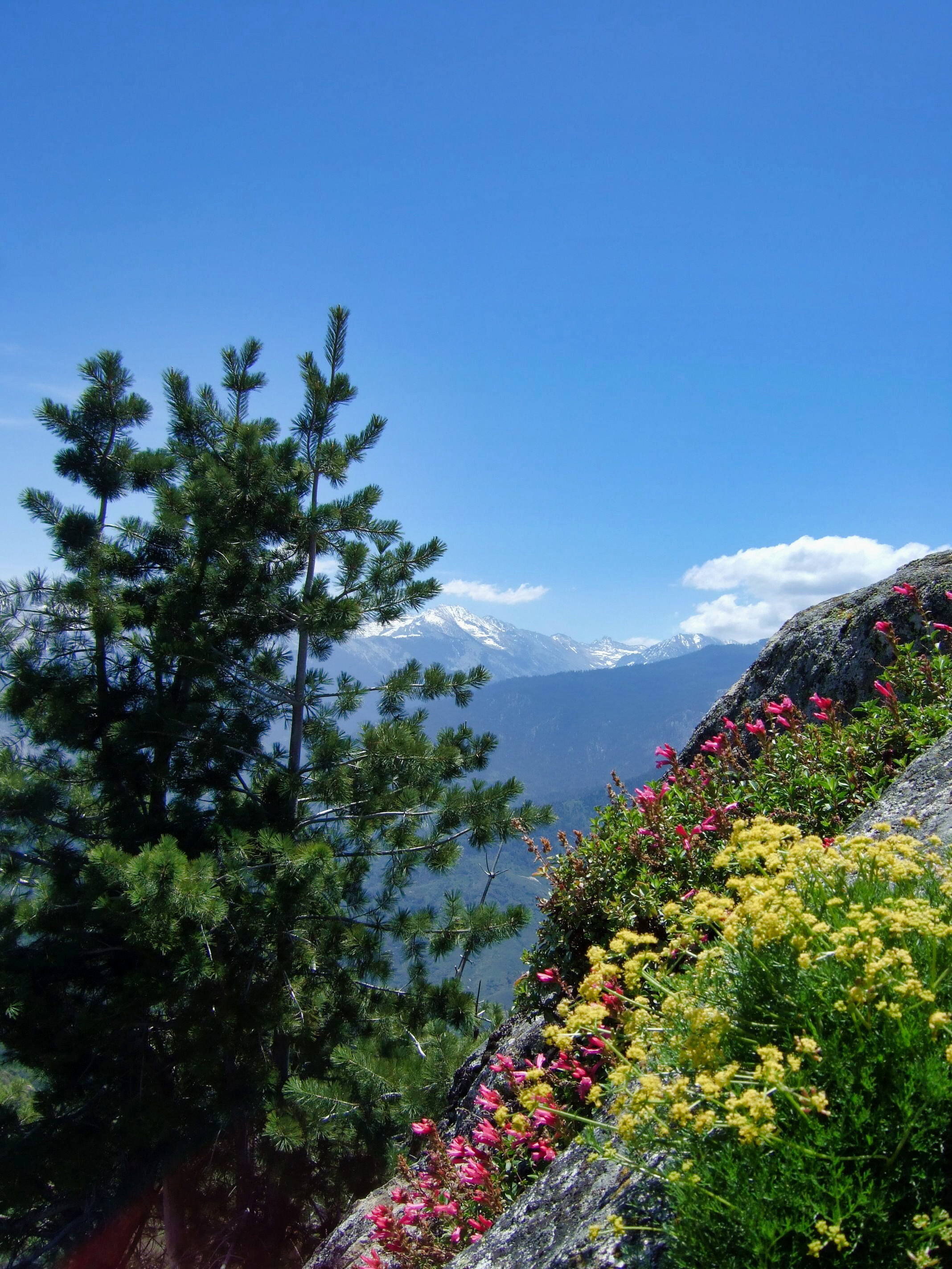 mai_2014_070.jpg