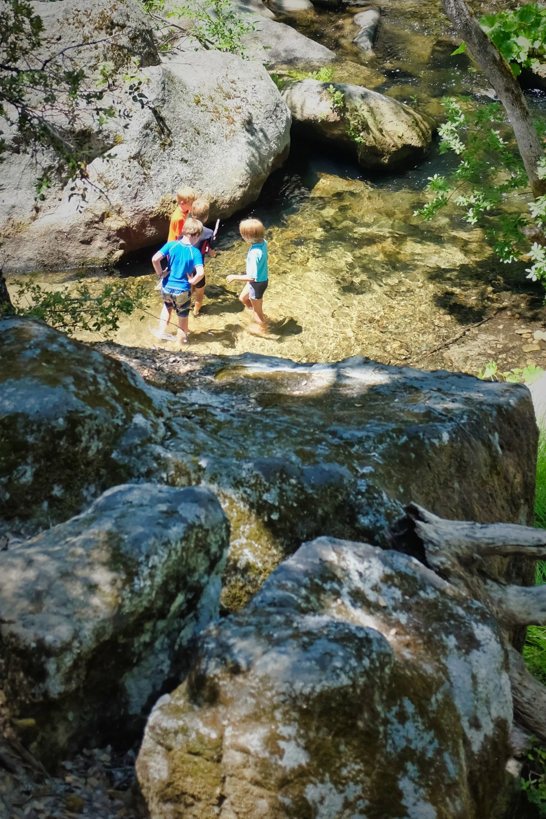 juin_2021_081.JPG