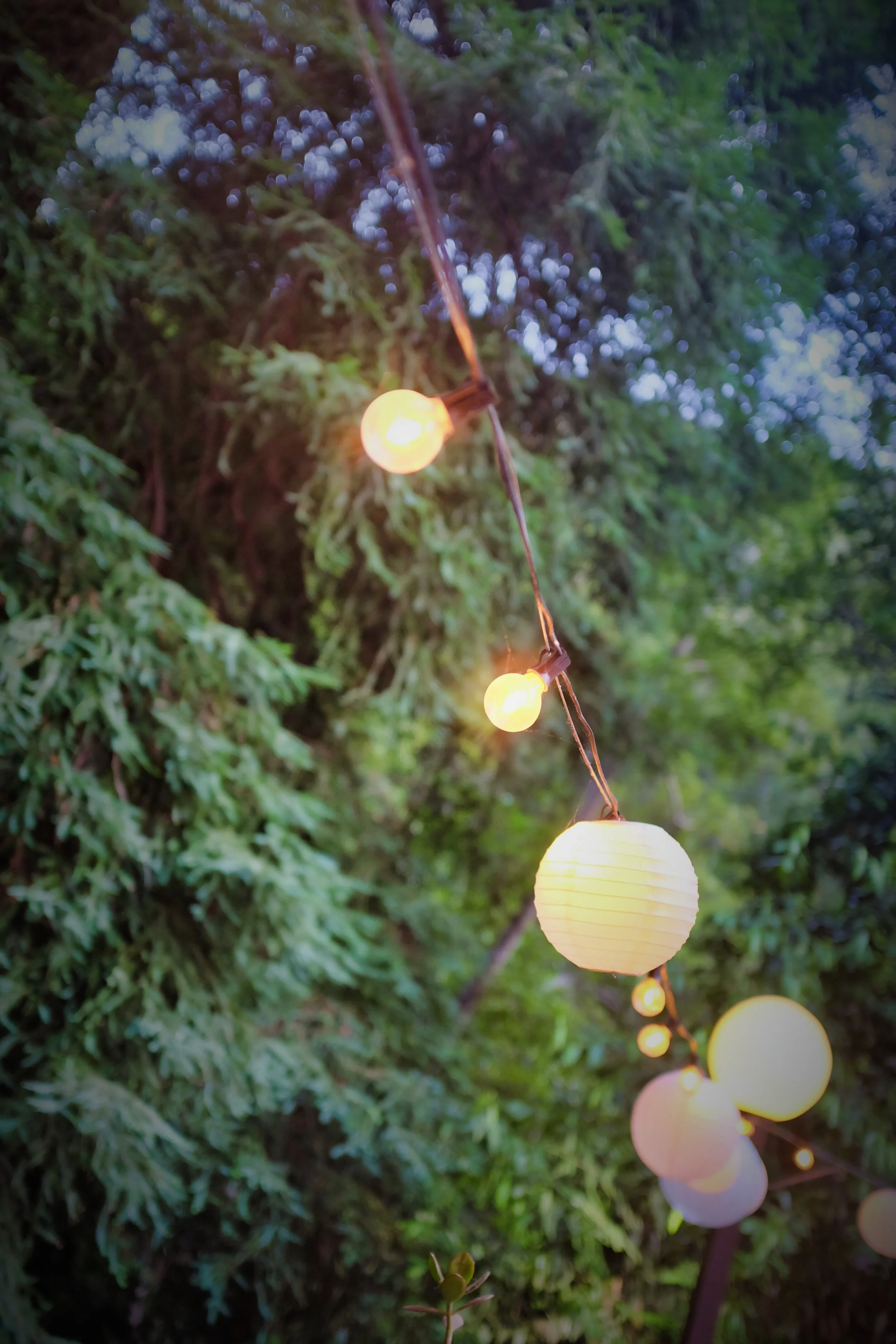 DSCF3368.JPG