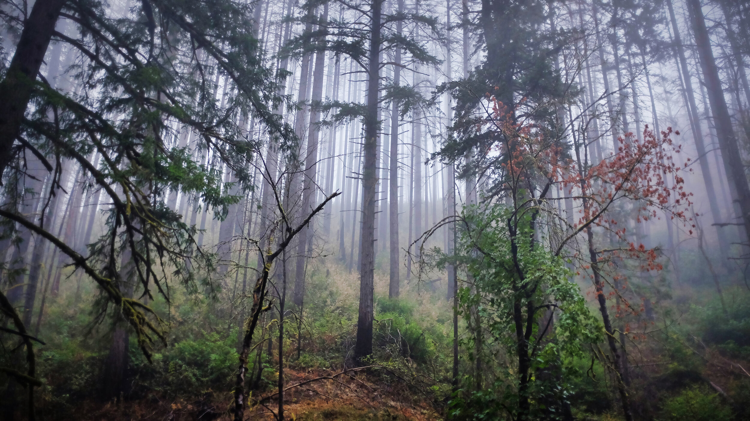septembret_2021_203.JPG