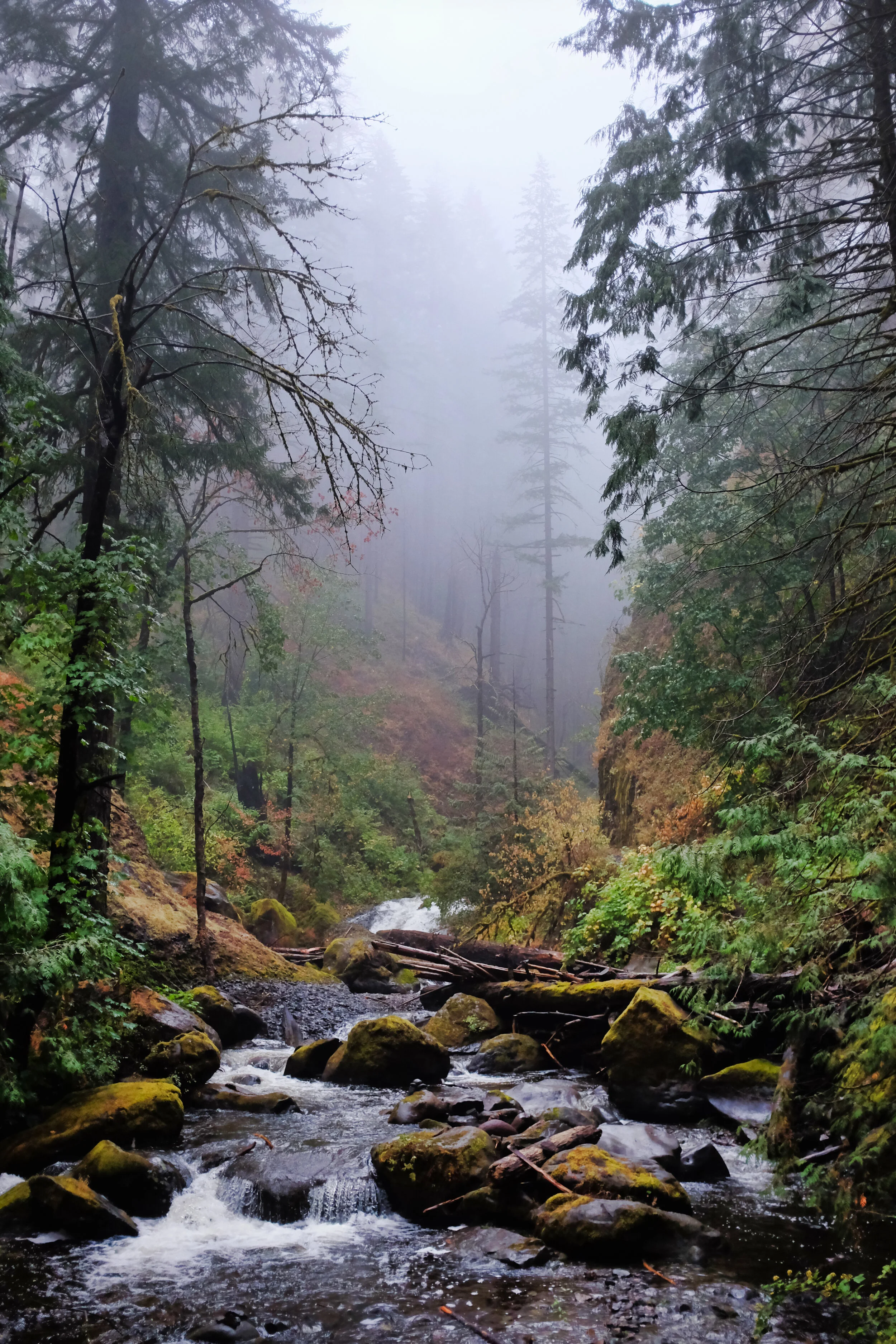 septembret_2021_202.JPG