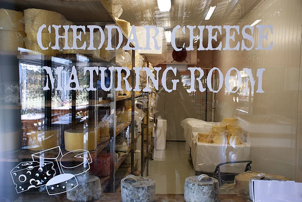 cheeseroom_small.jpg