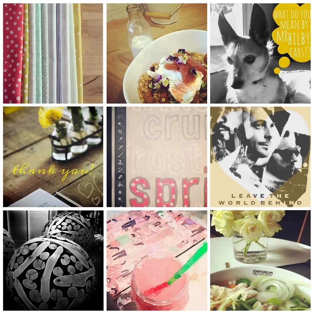 Instagramming lately...