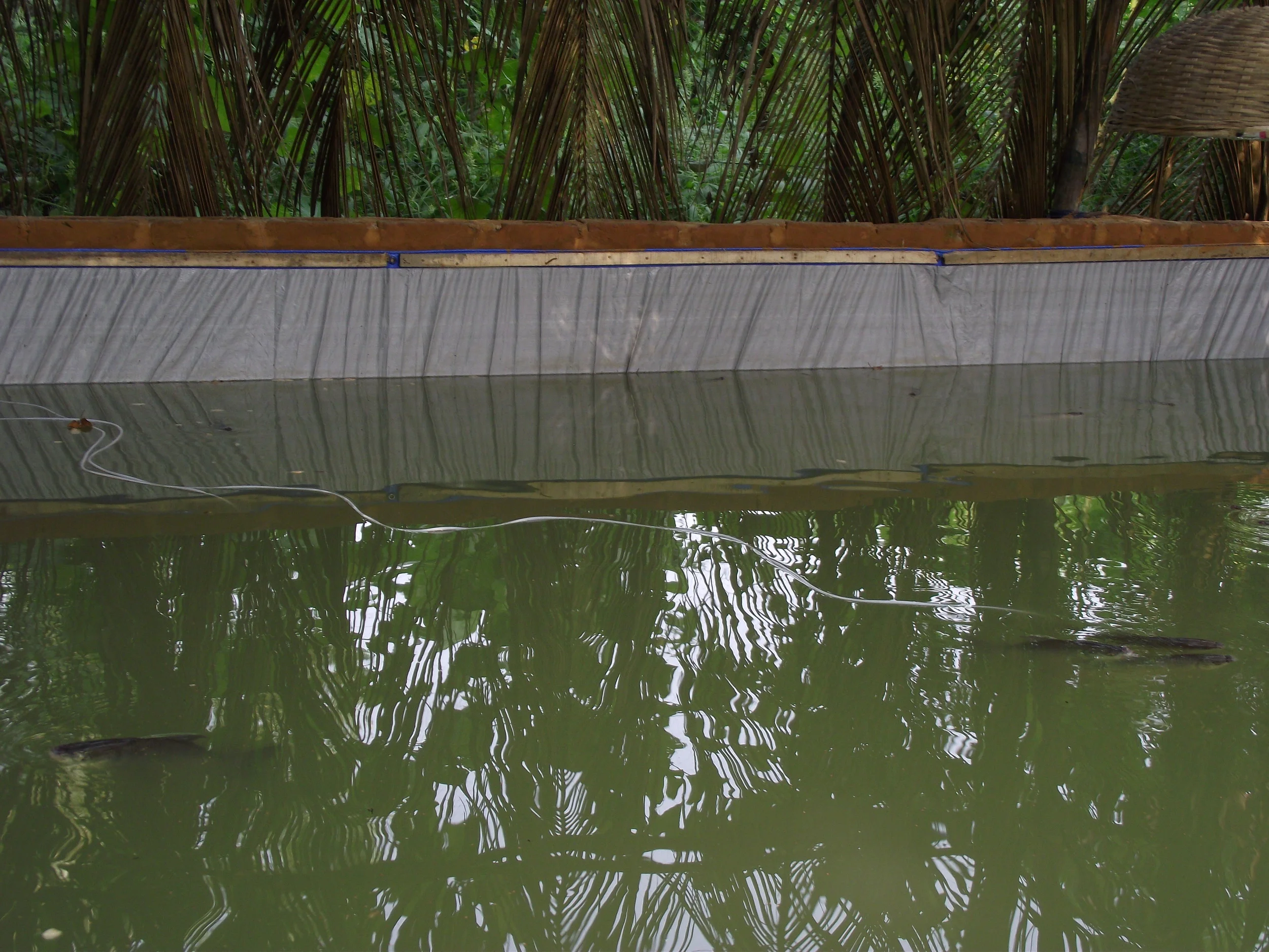 DSCF2125.JPG