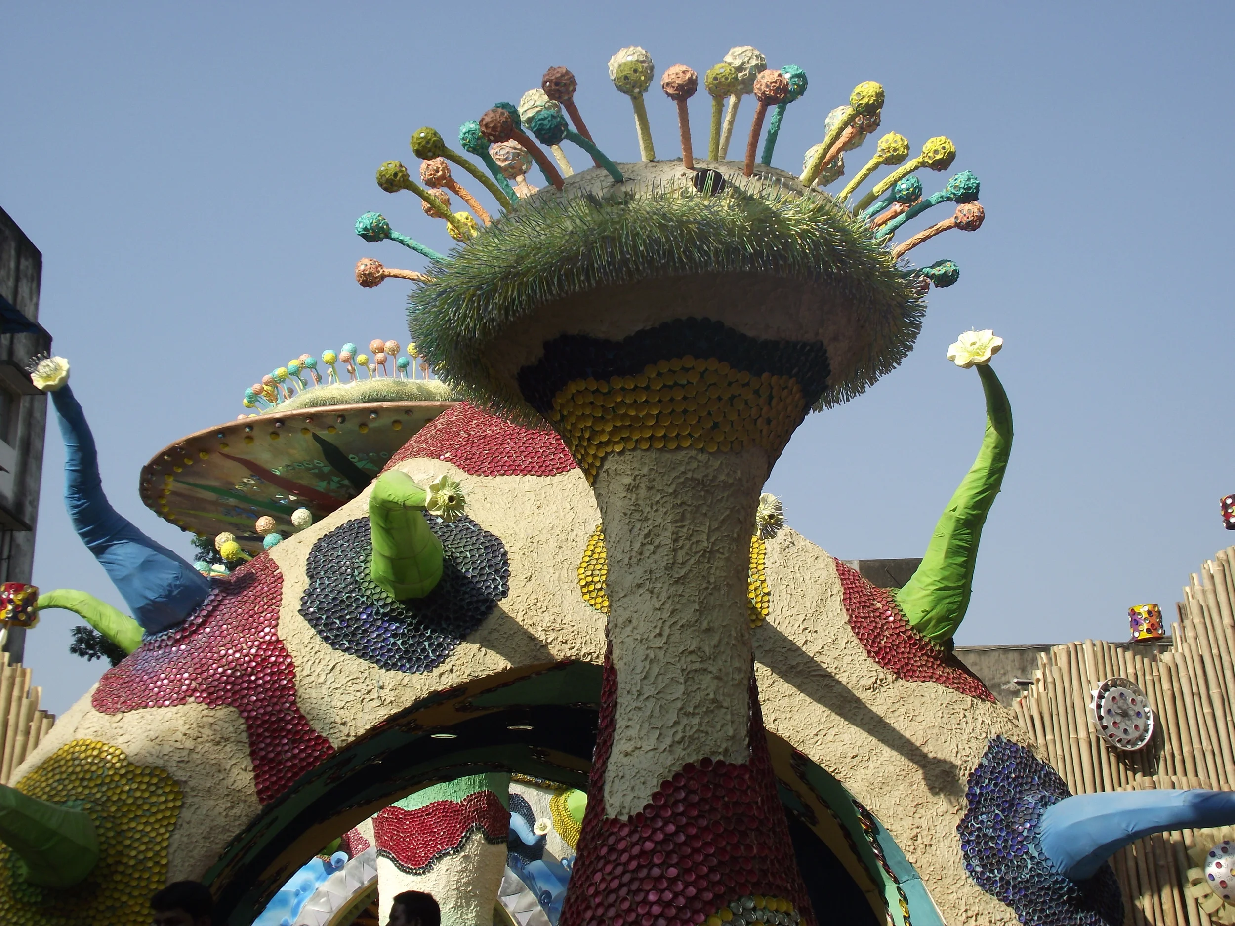 DSCF2448.JPG