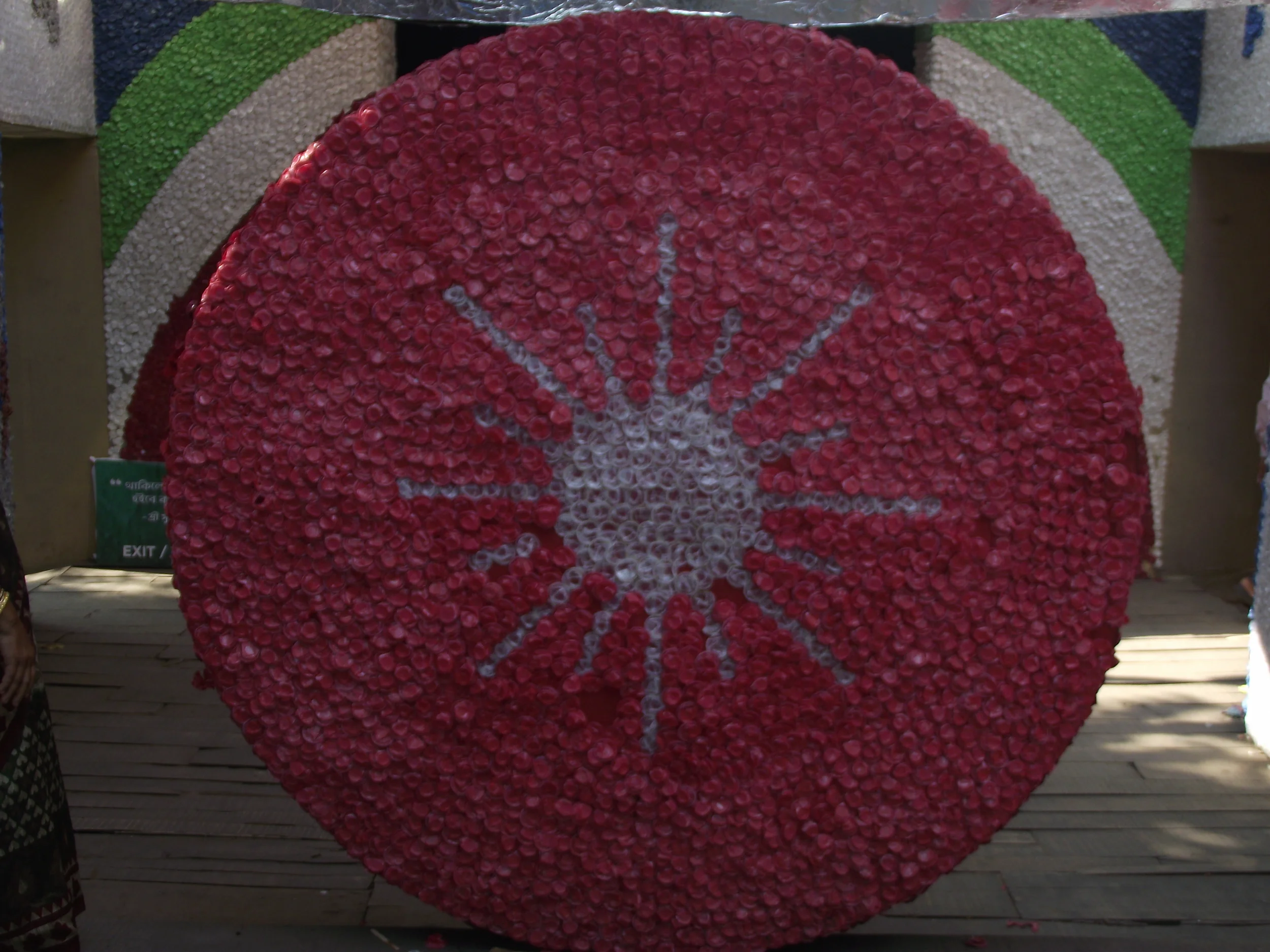 DSCF2489.JPG