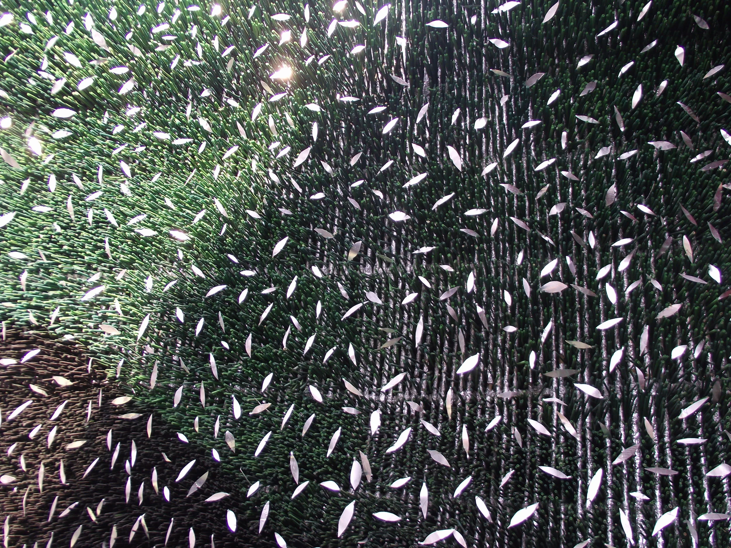 DSCF2527.JPG