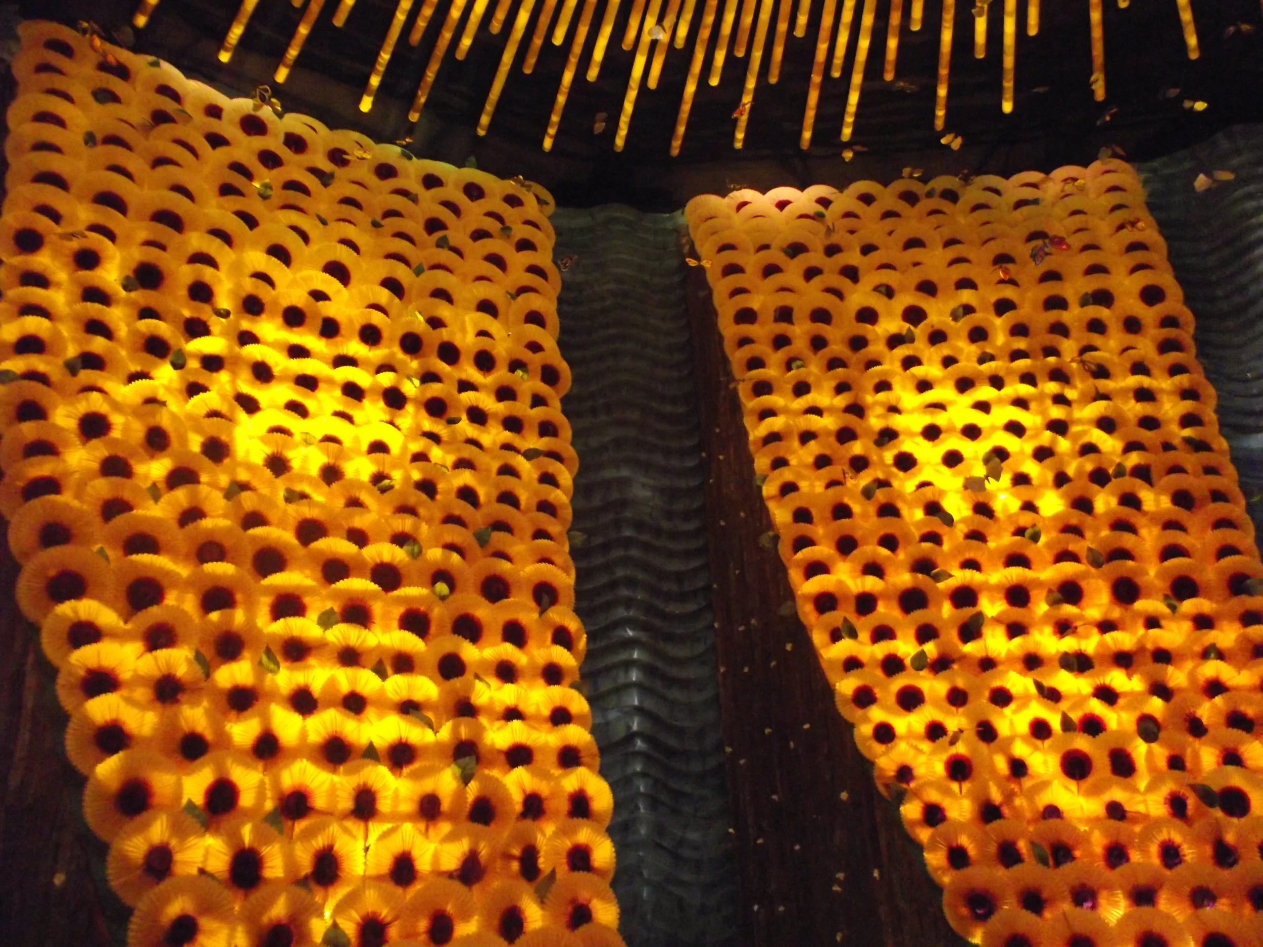  Sunflowers arranged to create petals of a sunflower! 