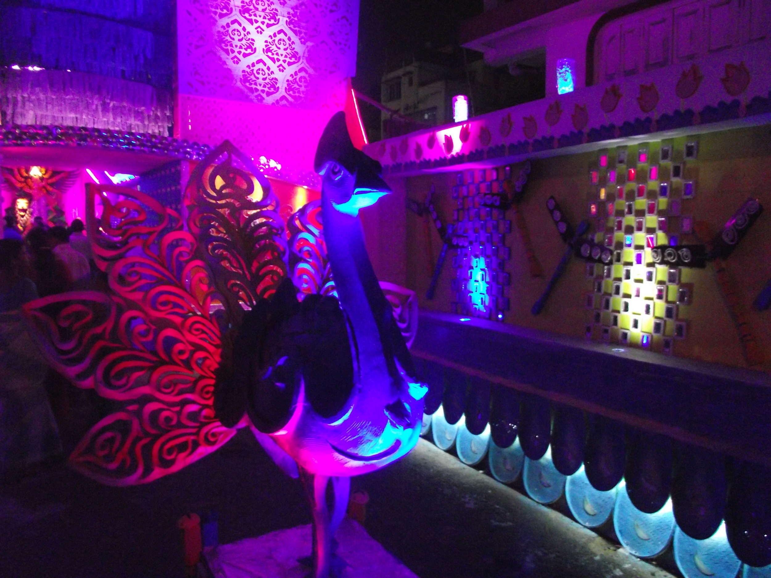  One of the many peacocks in the pandal! 