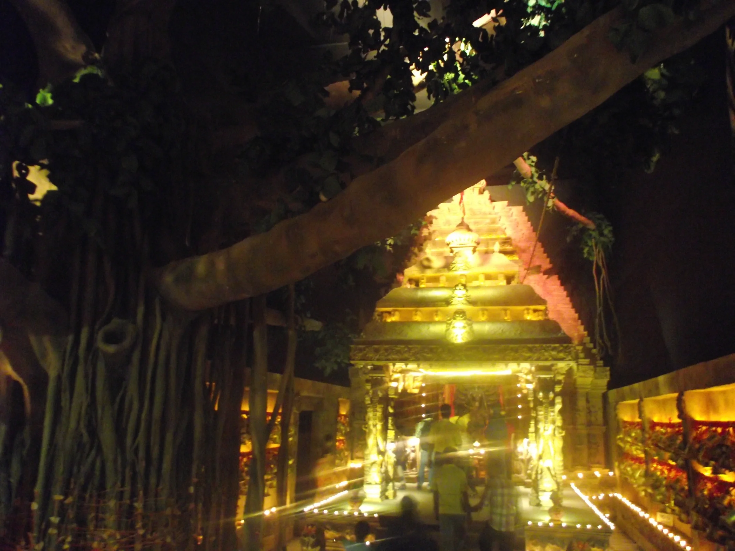 DSCF4403.JPG