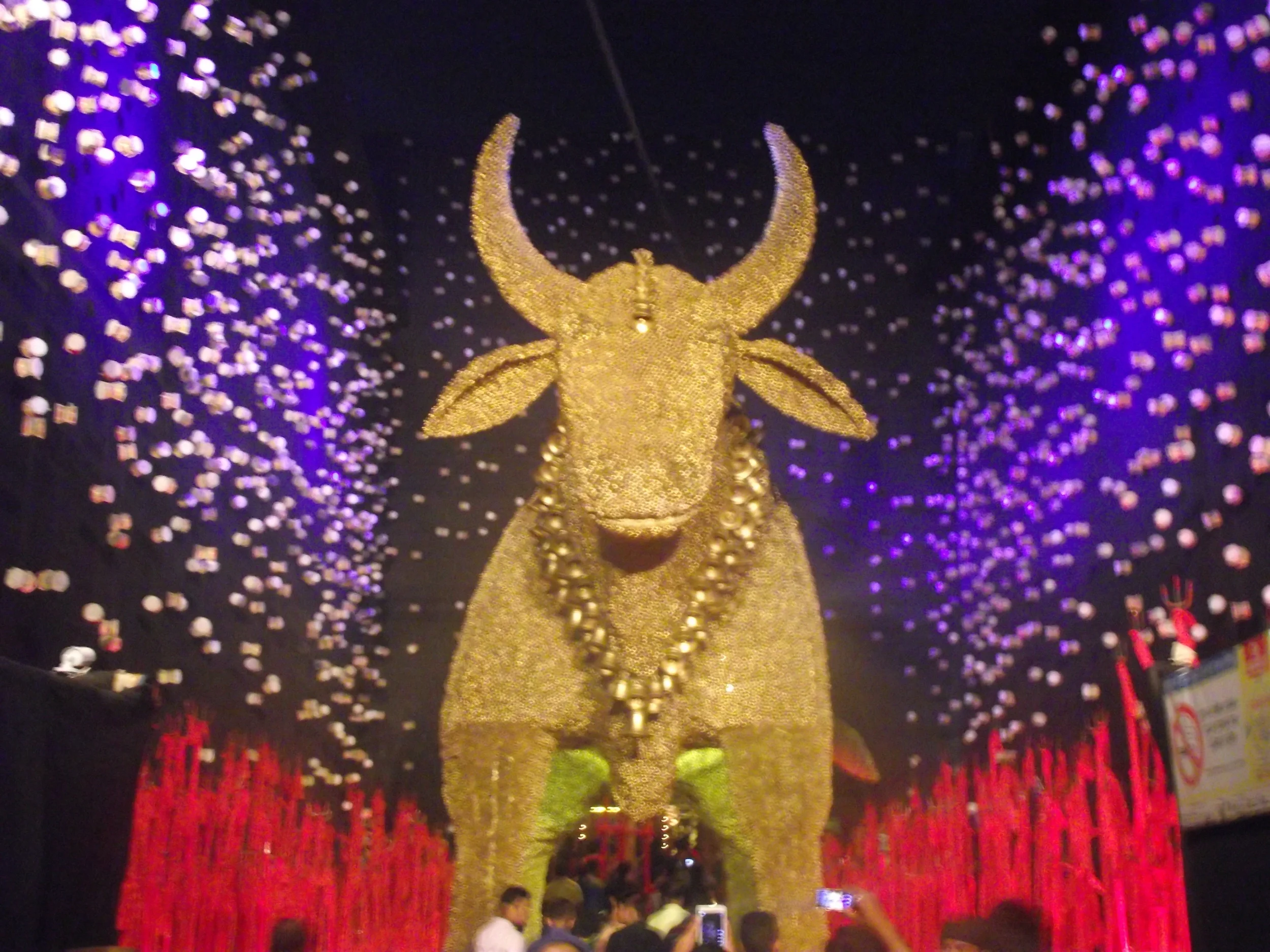  The main entrance to the pandal. Observe the lighting works on both sides. Its created an effect of fantasy! 