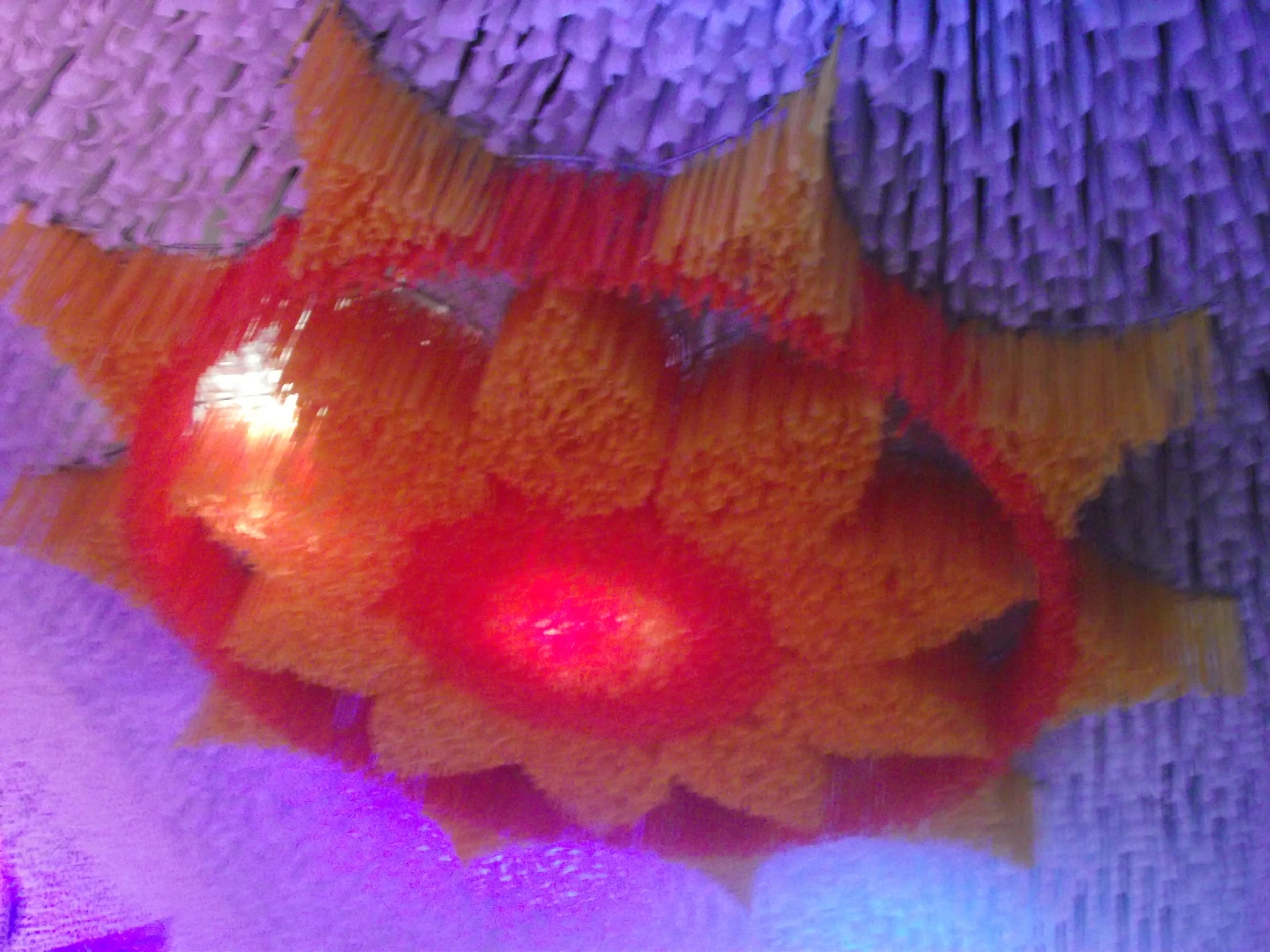  Even the ceiling had different types of paper art arranged in a floral symmetry... 