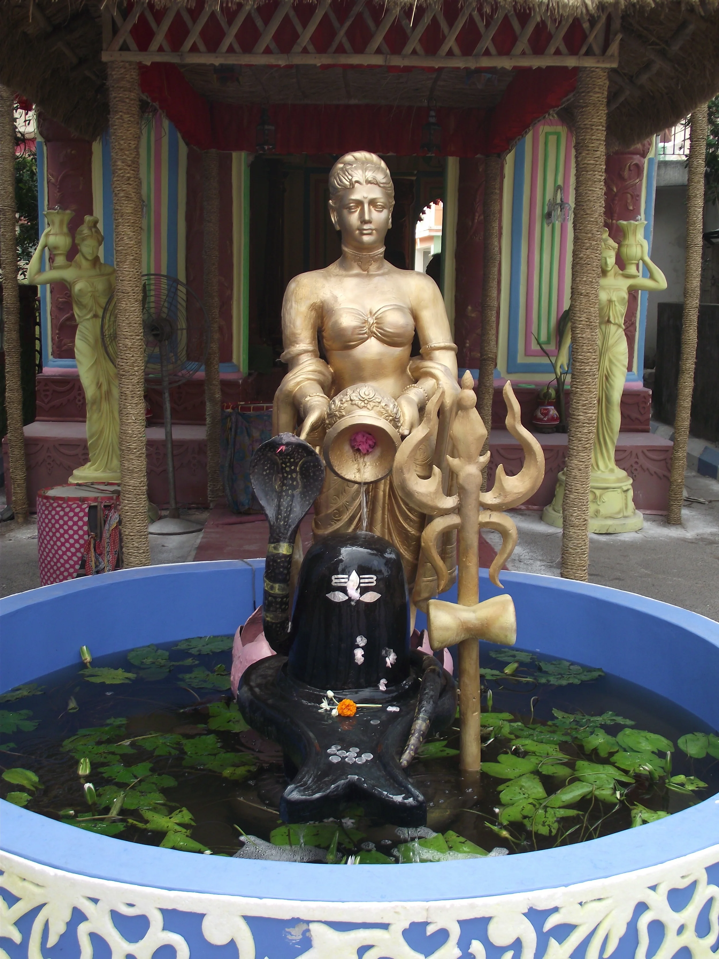  Shivji having the privilege of continuous spring bath! 