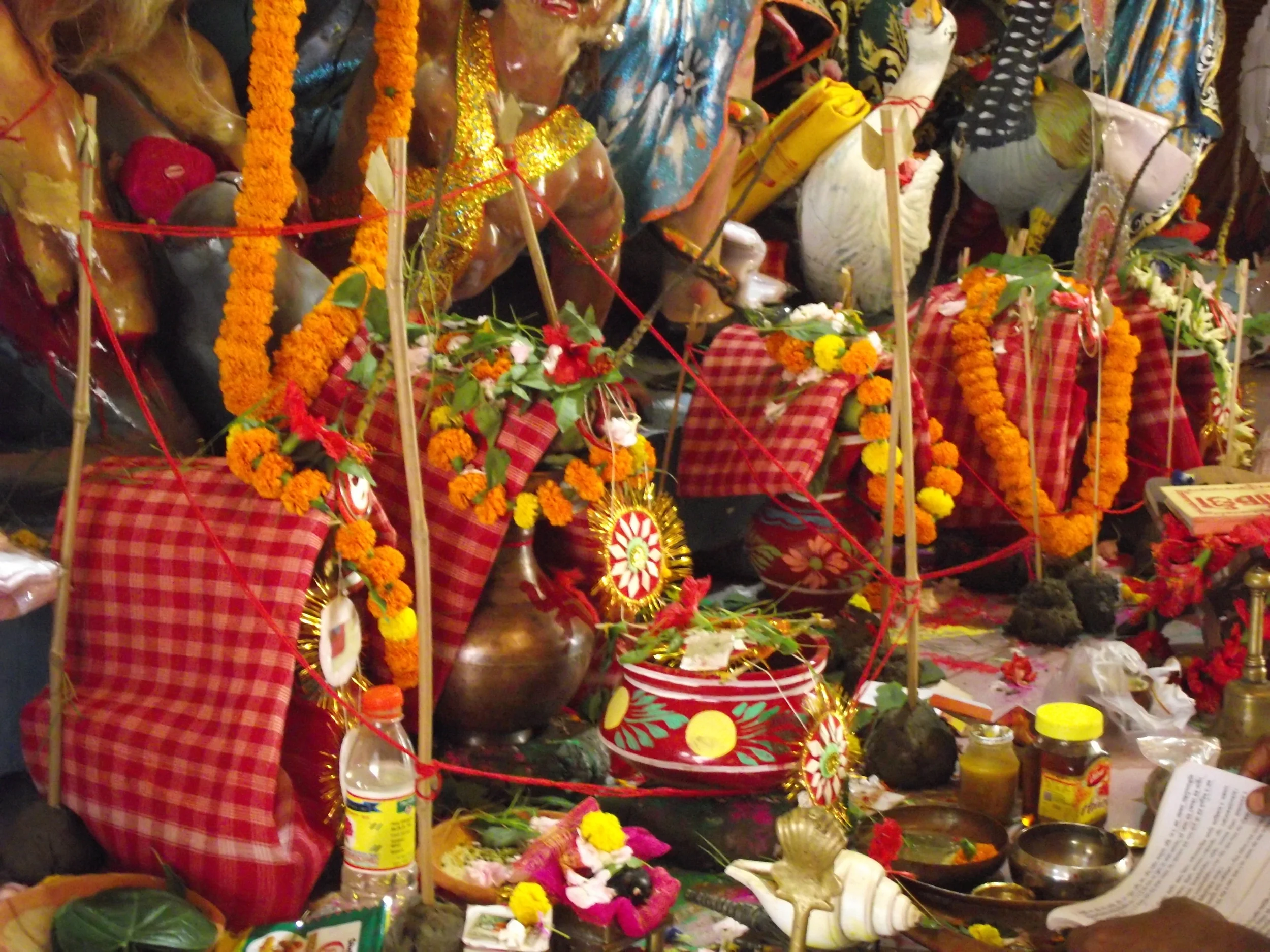  All ready for the Mahasaptami puja daan 