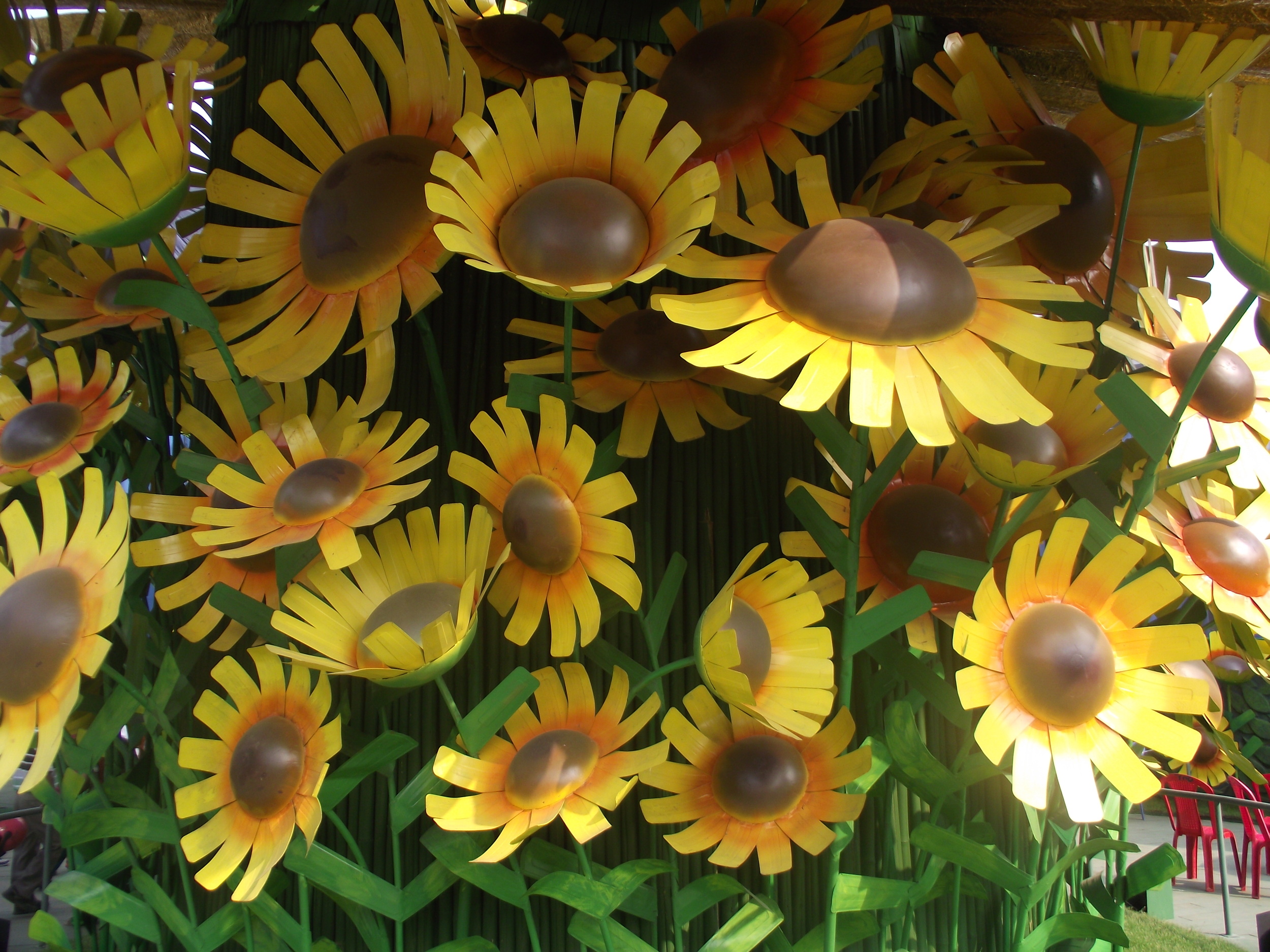  Close up view of the sunflowers looking bright and sunny. 