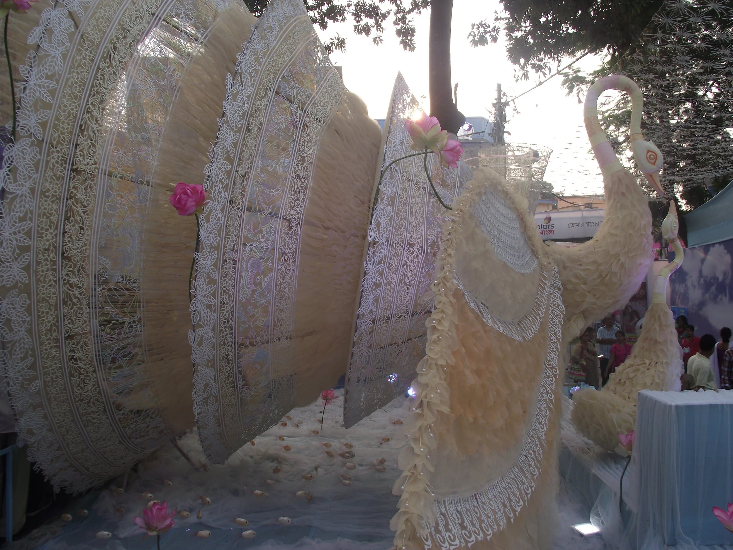  Art and cacophony of the swans. 