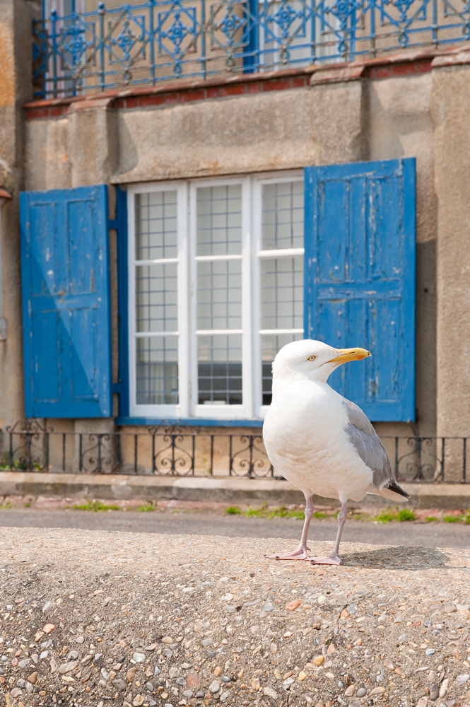 Aldeburgh2.jpg