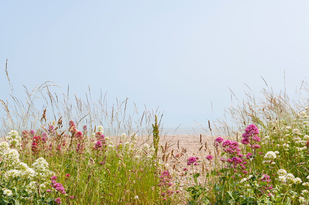 Aldeburgh5.jpg