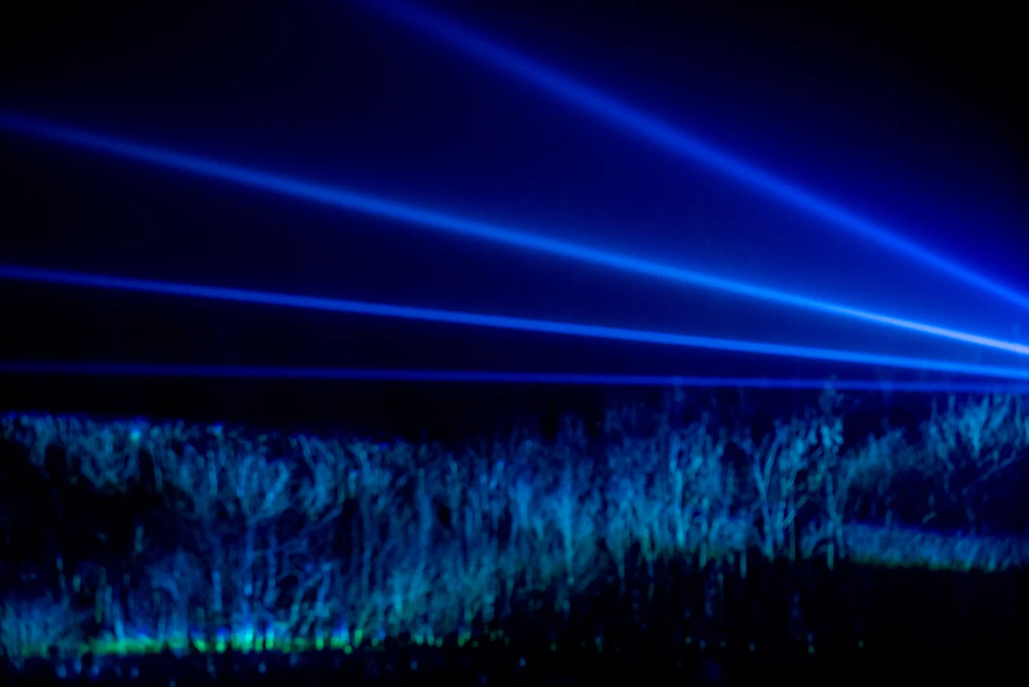 Waterlicht4.jpg