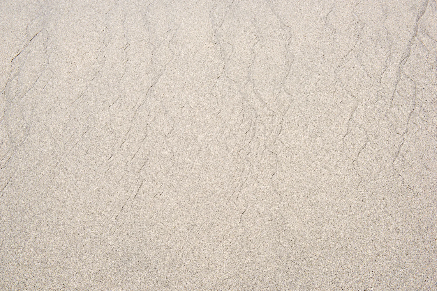 patterns9.jpg