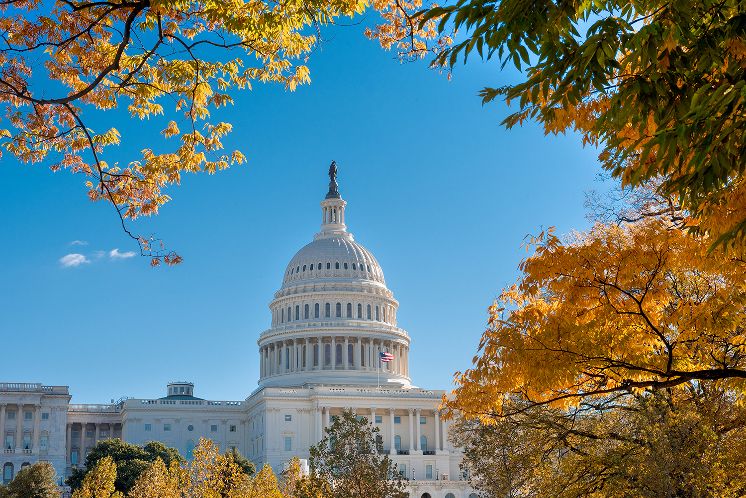 The well-known Capitol dome in Washington, DC, framed by colourful autumn leaves.