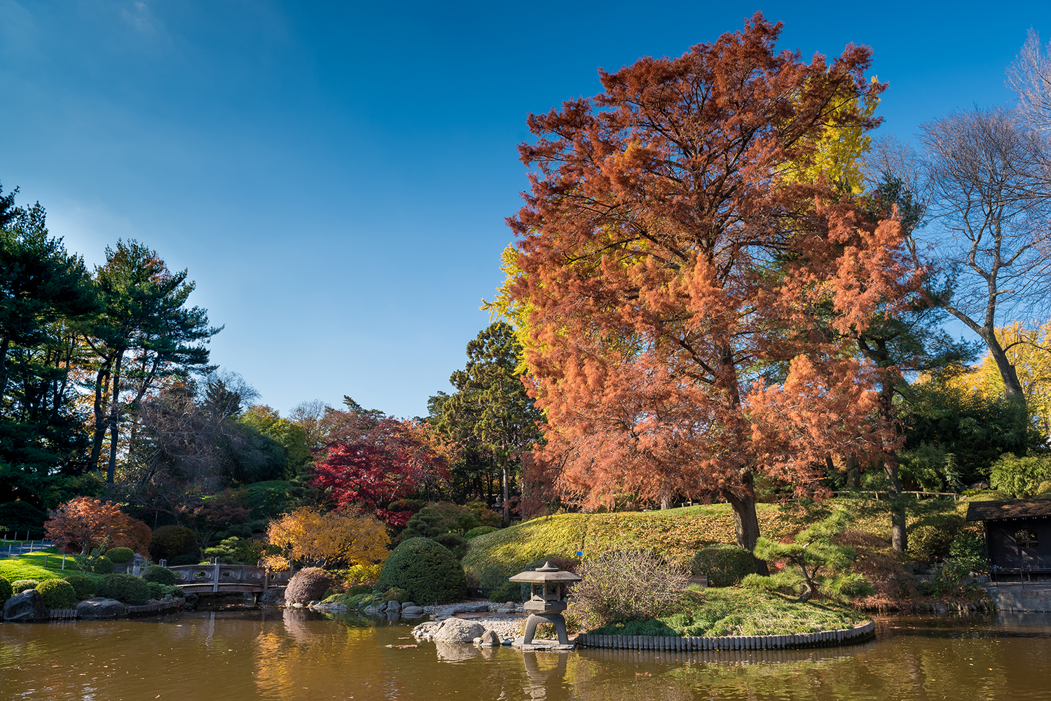 The Japanese Hill-and-Pond Garden at the Brooklyn Botanic Garden, NYC.