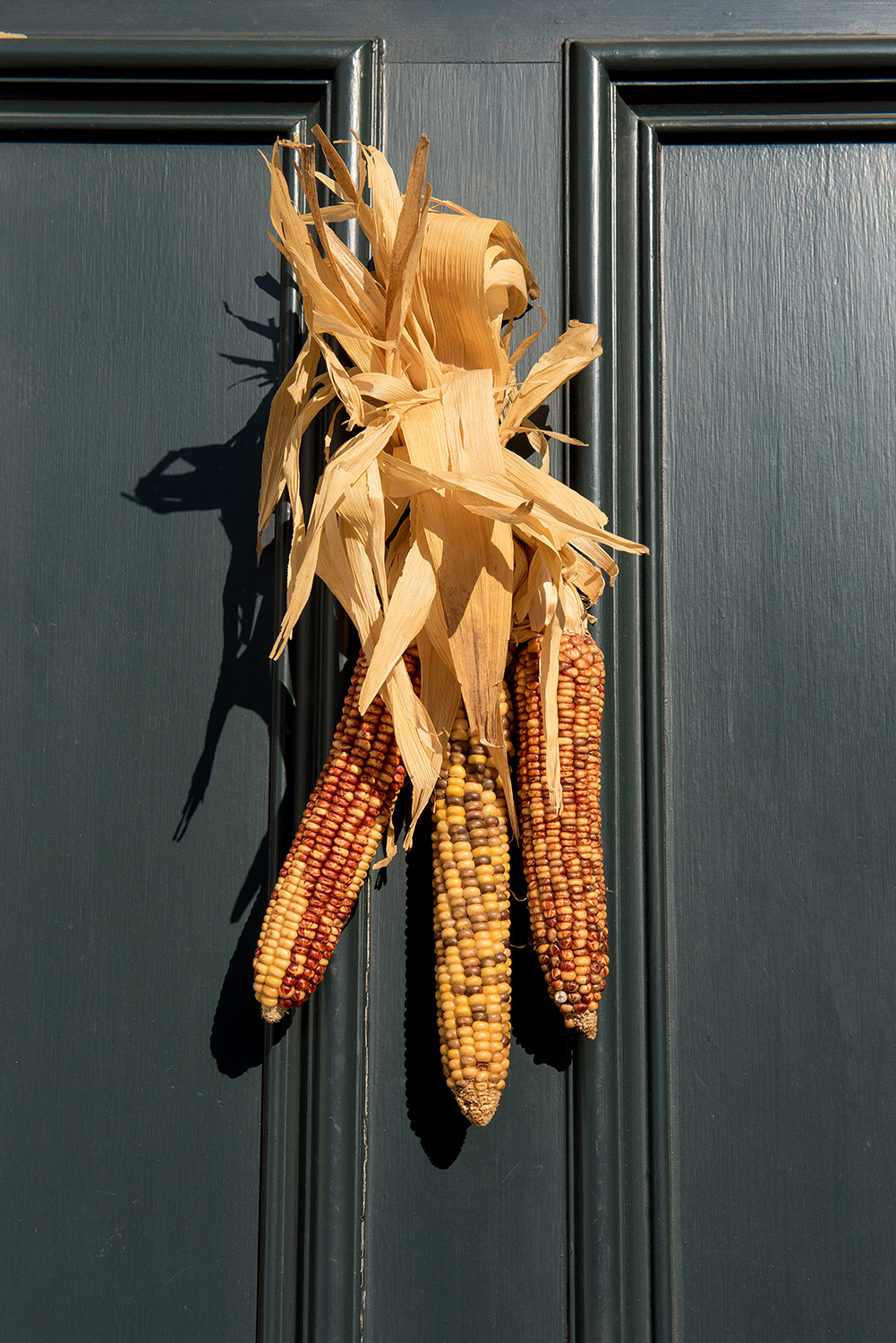 Corn cob decorations on a front door in Georgetown, Washington, DC.