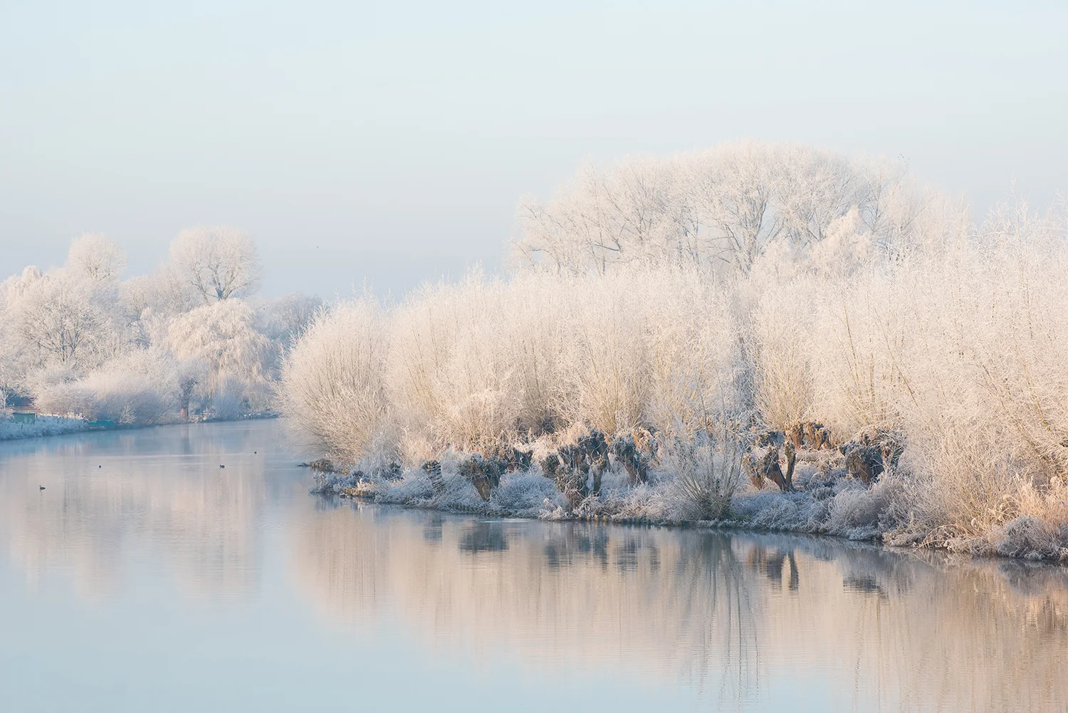 Enspijk, Betuwe, Netherlands