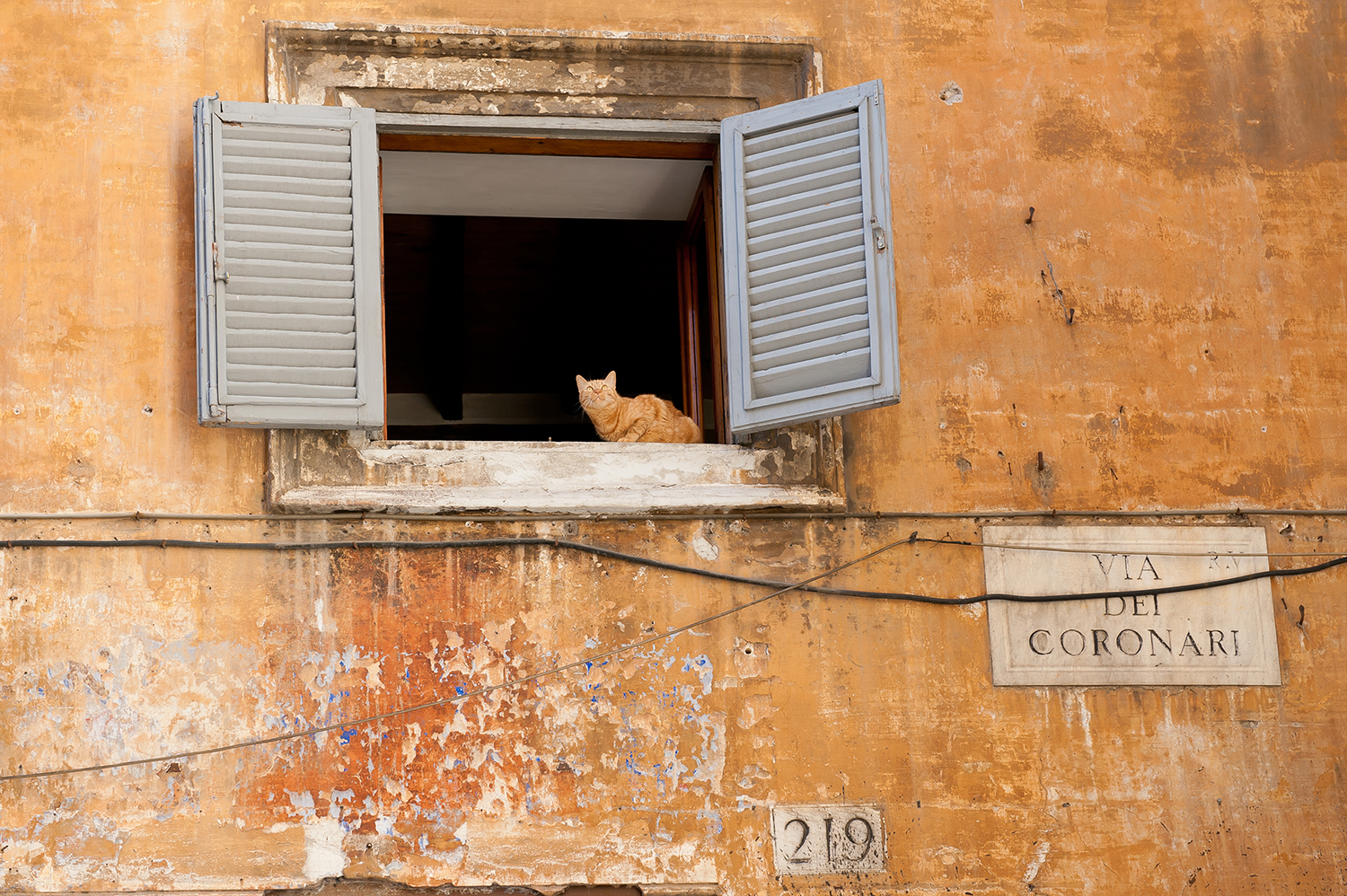 Rome, Lazio, Italy