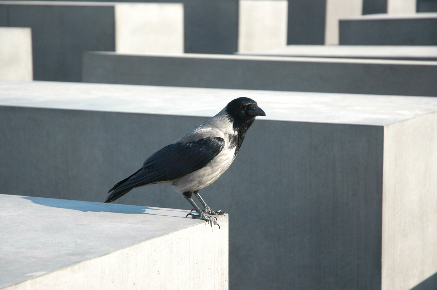 Holocaust Memorial, Berlin, Germany